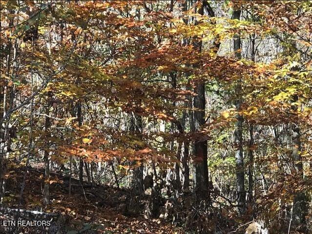 Lot 122 Settlers Point New Tazewell TN 37825
