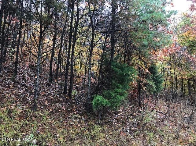 Lot 122 Settlers Point New Tazewell TN 37825