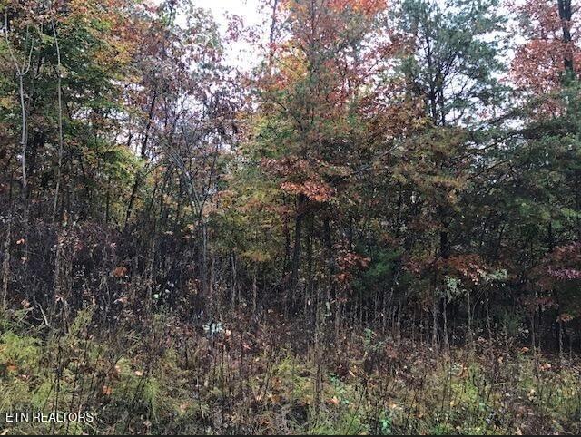 Lot 122 Settlers Point New Tazewell TN 37825