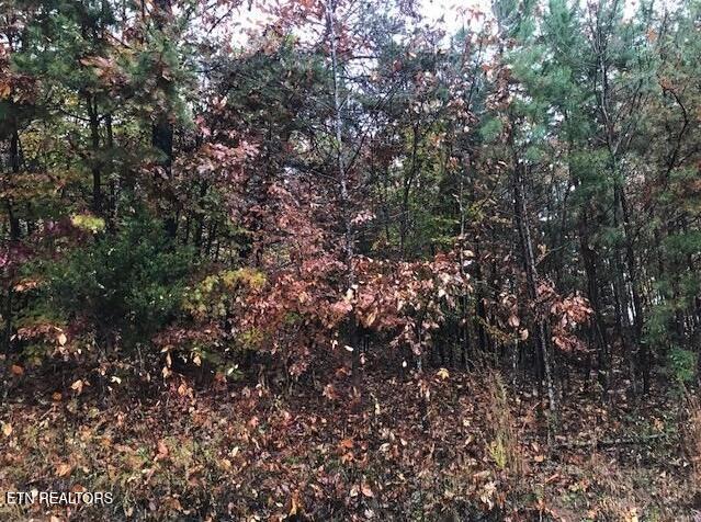 Lot 122 Settlers Point New Tazewell TN 37825