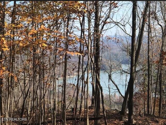 Lot 122 Settlers Point New Tazewell TN 37825