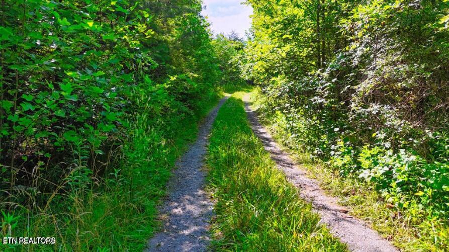 Lantana Road Crossville TN 38572