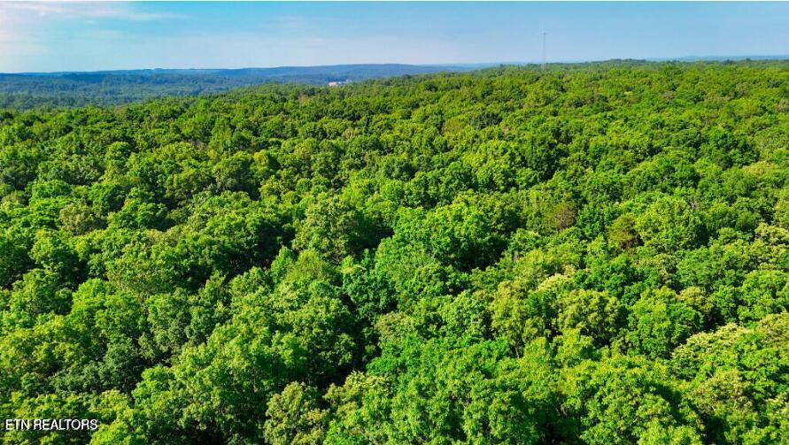 Lantana Road Crossville TN 38572