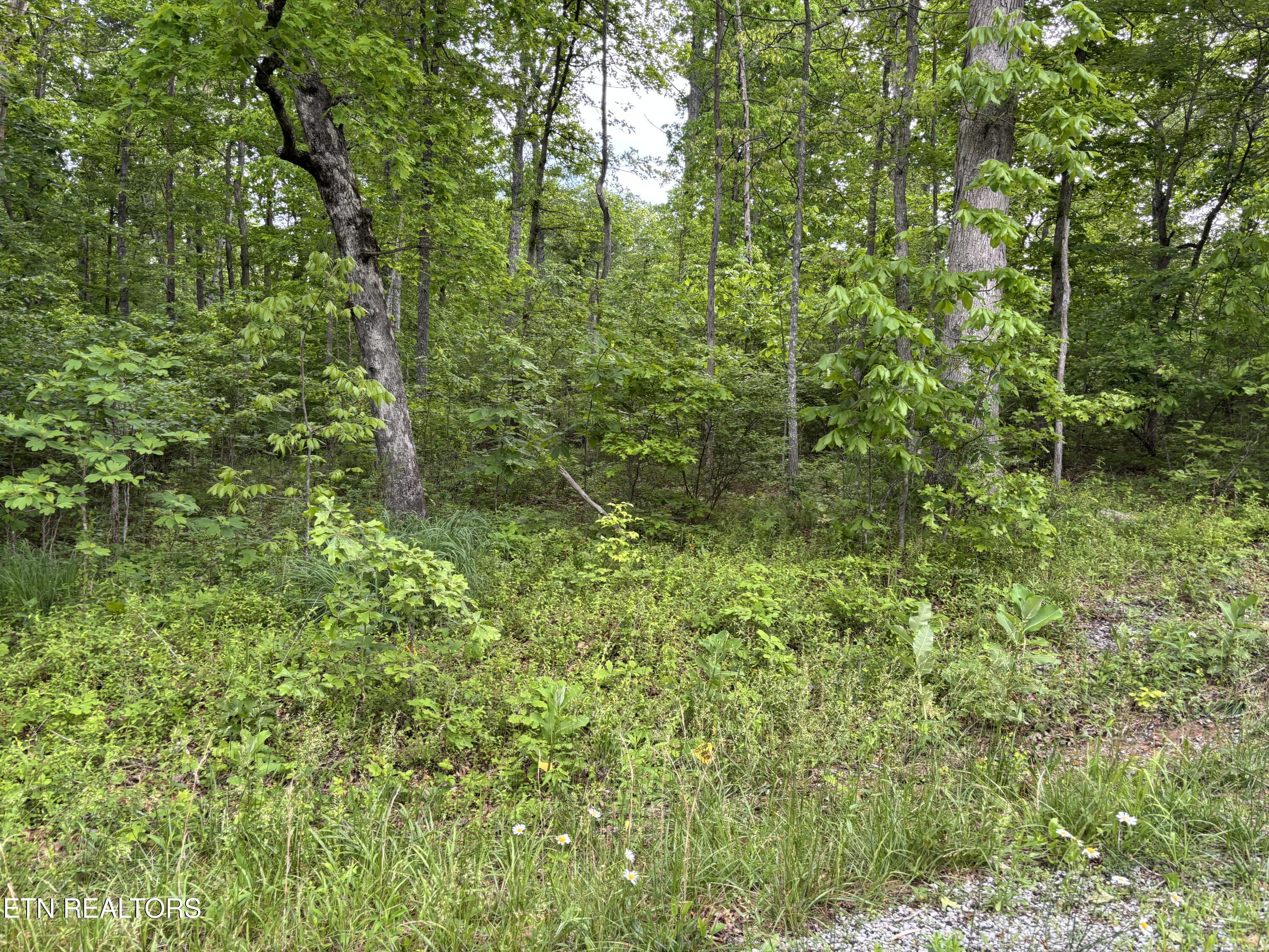 1654 E Cherokee Road Crossville TN 38572