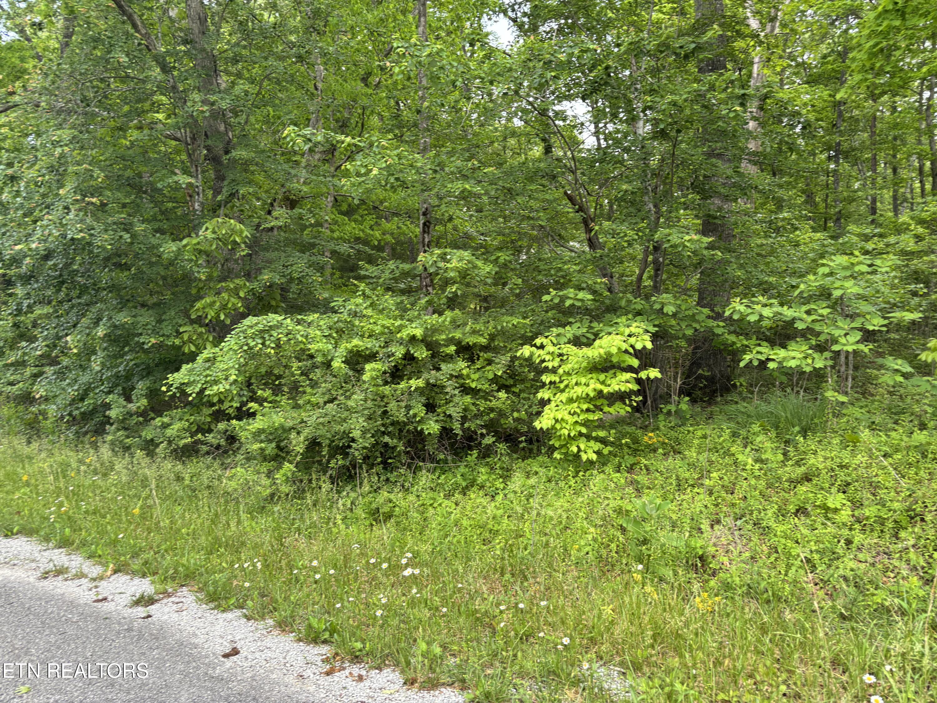 1654 E Cherokee Road Crossville TN 38572