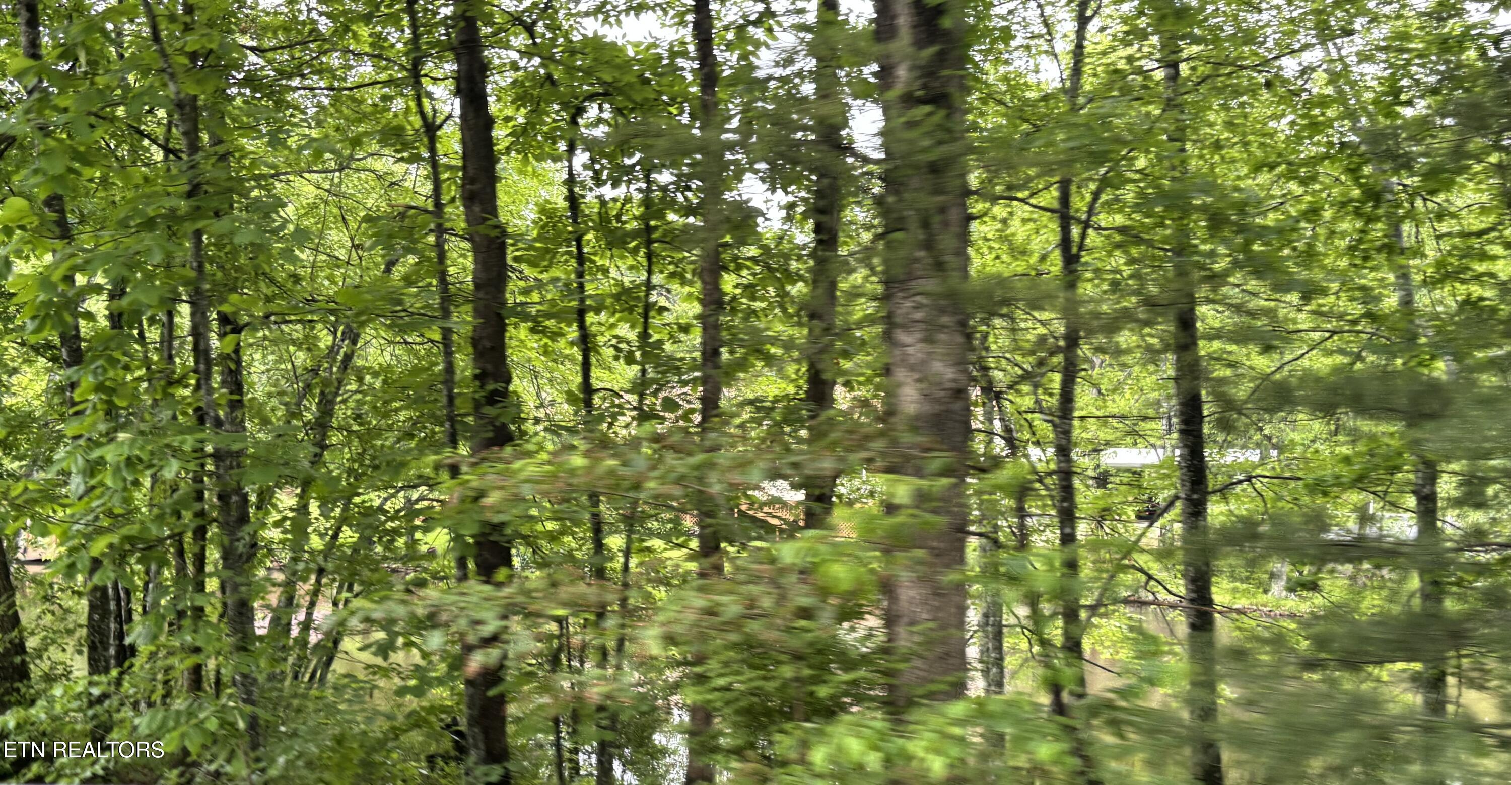 1654 E Cherokee Road Crossville TN 38572