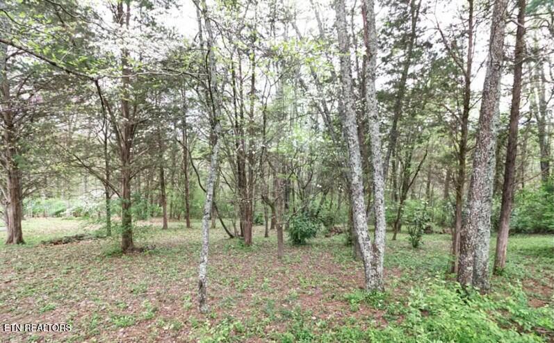 7544 Glastonbury Road Knoxville TN 37931