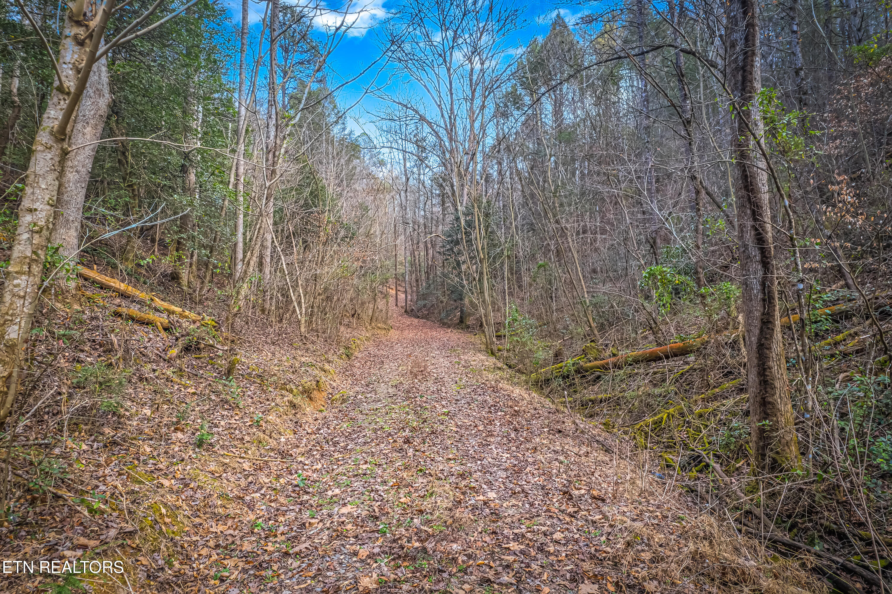 Boogertown Road Sevierville TN 37876