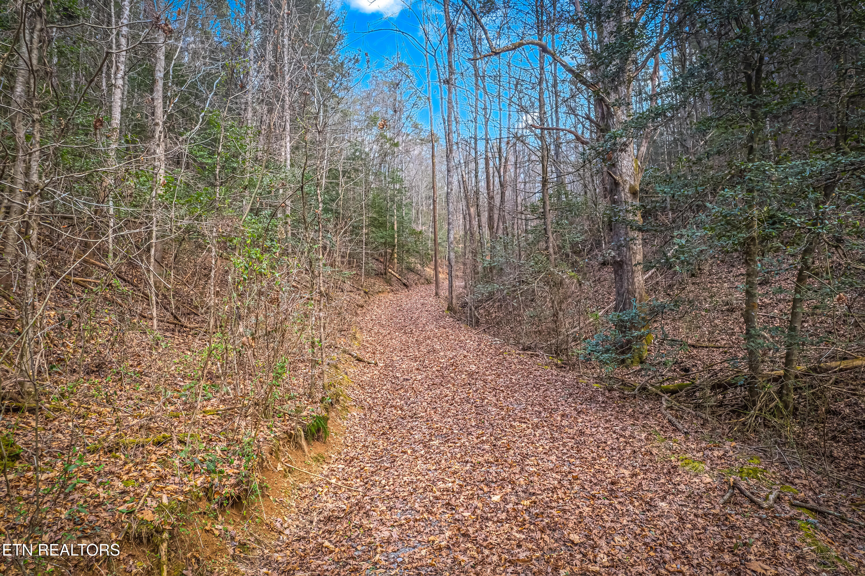 Boogertown Road Sevierville TN 37876
