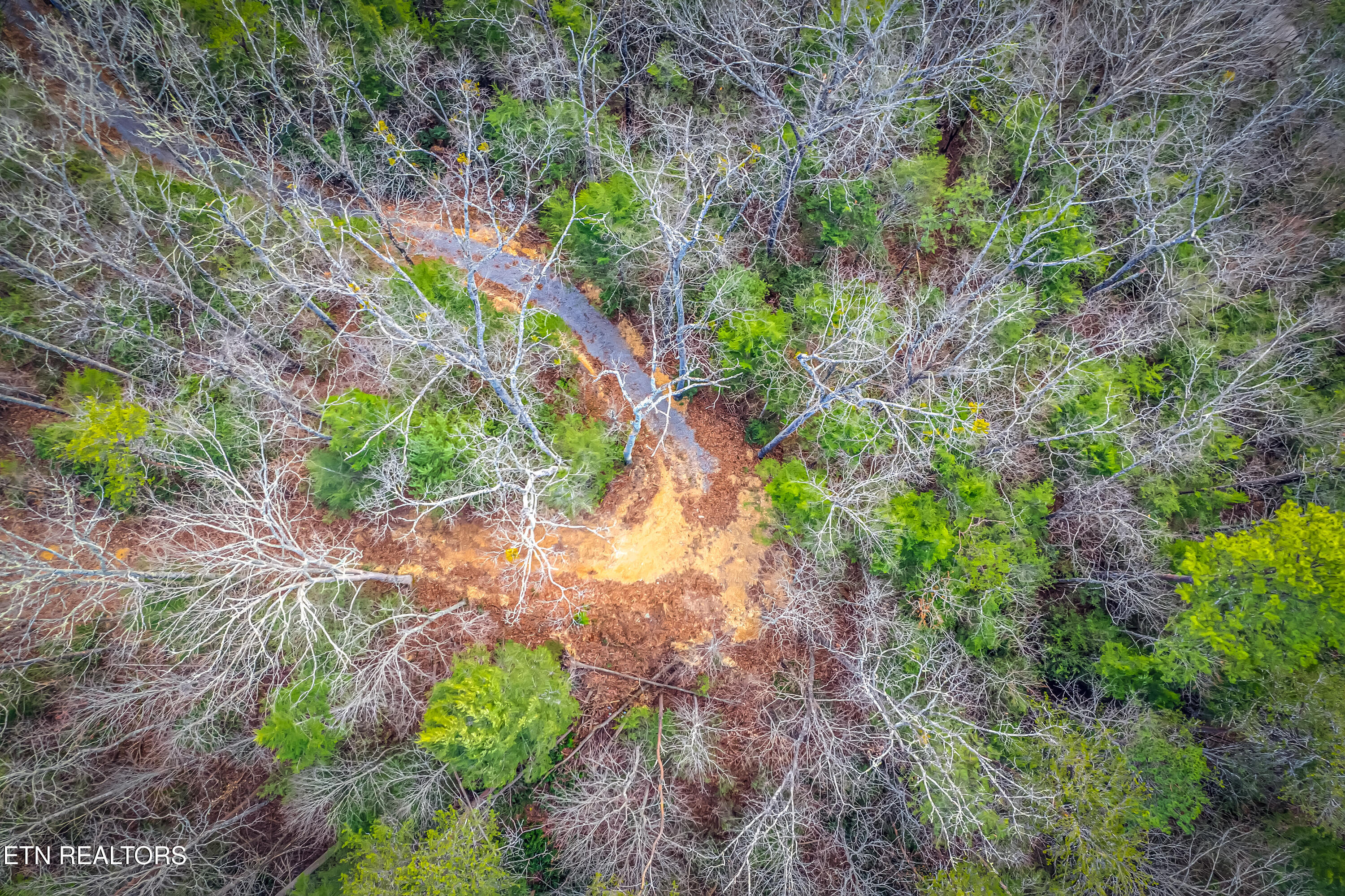 Boogertown Road Sevierville TN 37876