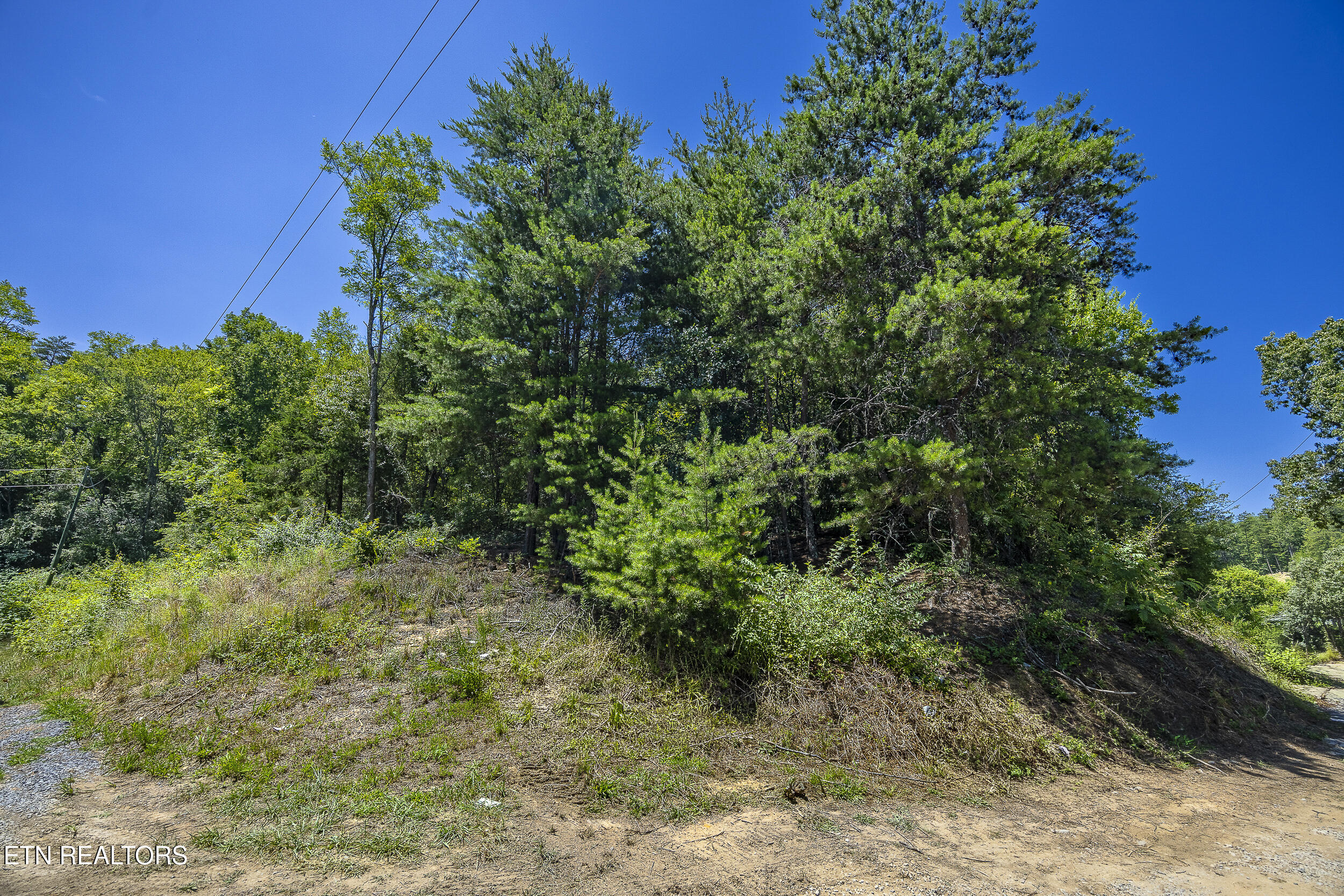 Raejon Way Sevierville TN 37862