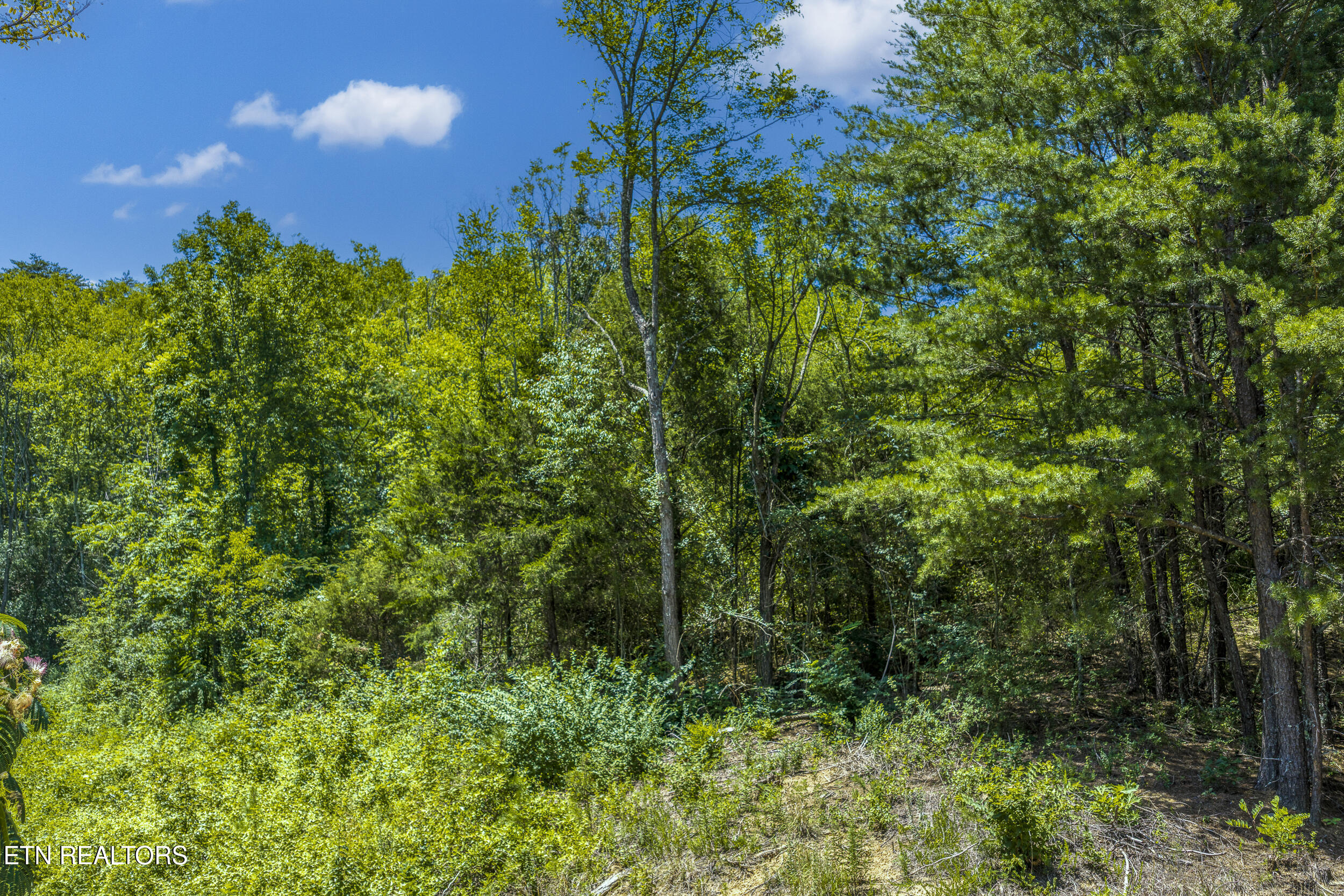 Raejon Way Sevierville TN 37862