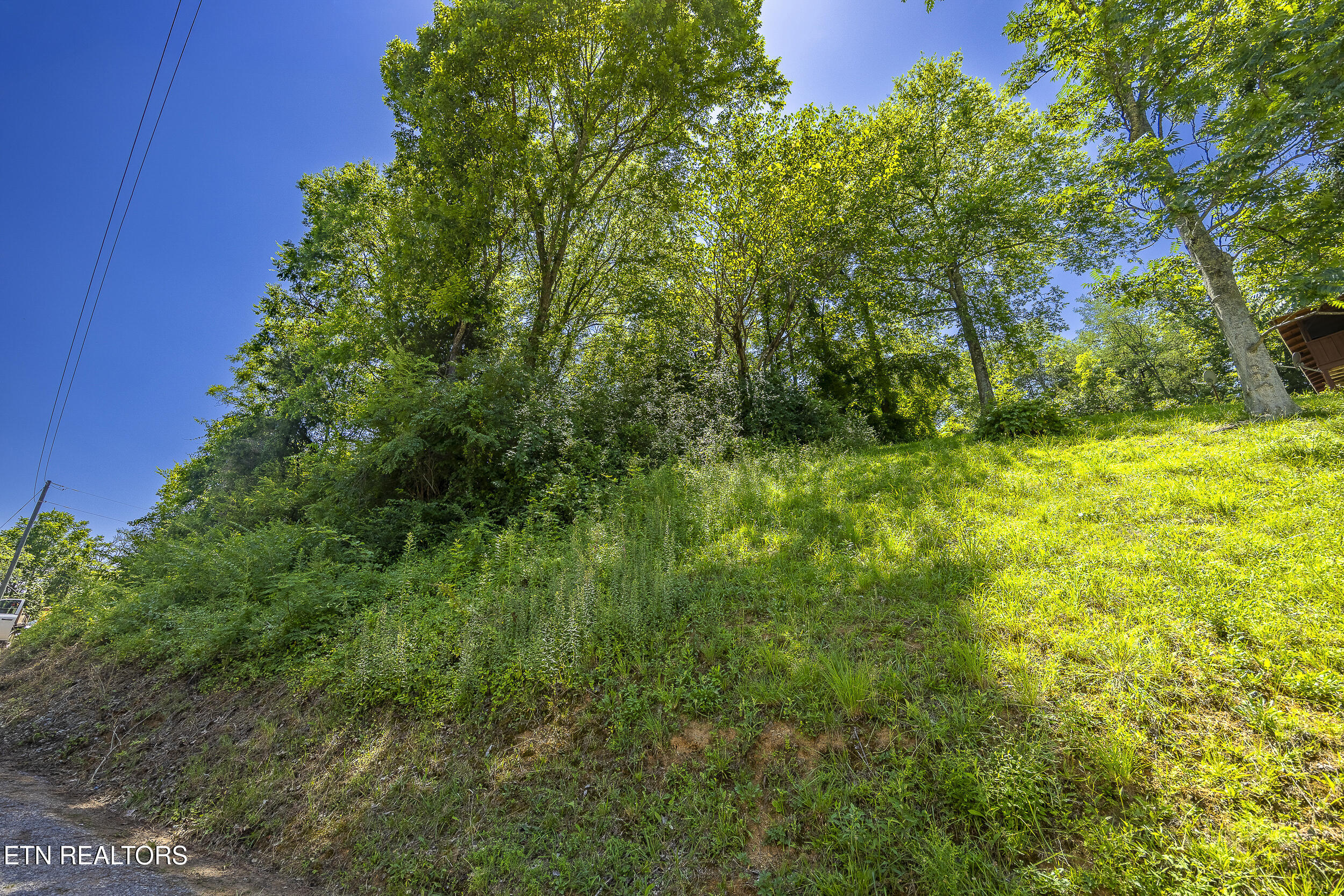 Raejon Way Sevierville TN 37862