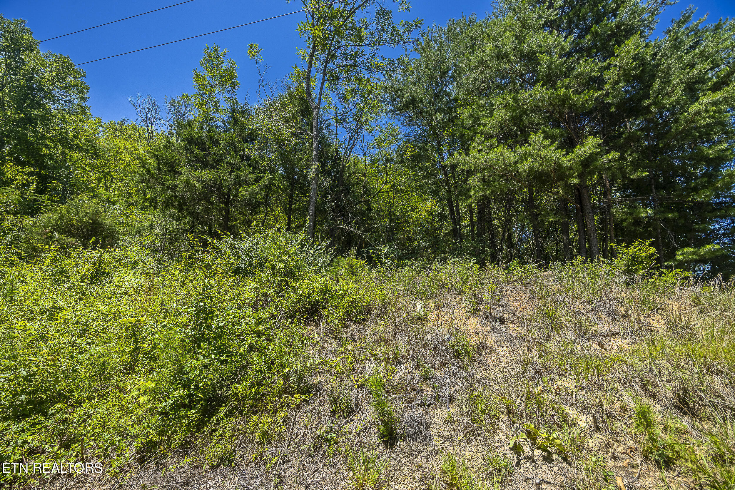 Raejon Way Sevierville TN 37862