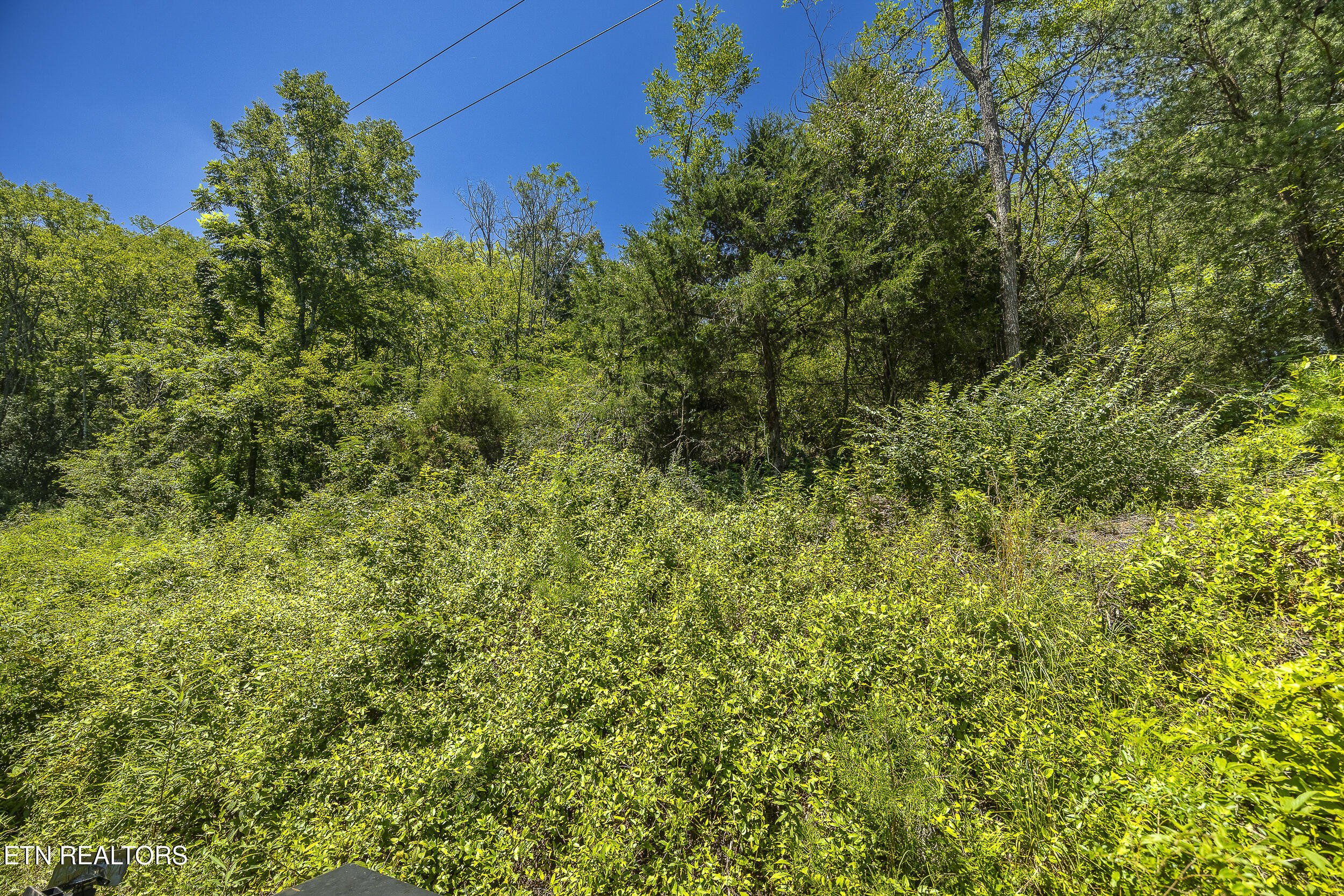 Raejon Way Sevierville TN 37862
