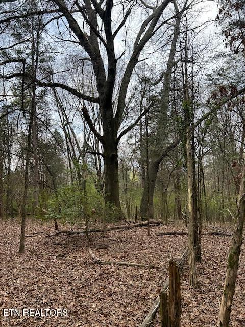 000 Stephanie Lane Athens TN 37303
