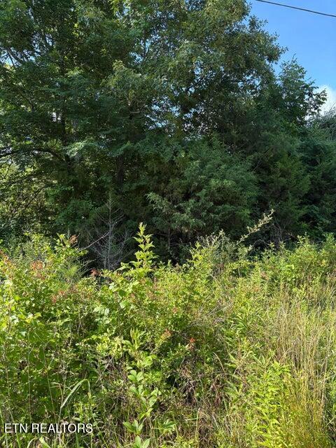 Lot 6 Old Furnace Road Tellico Plains TN 37385