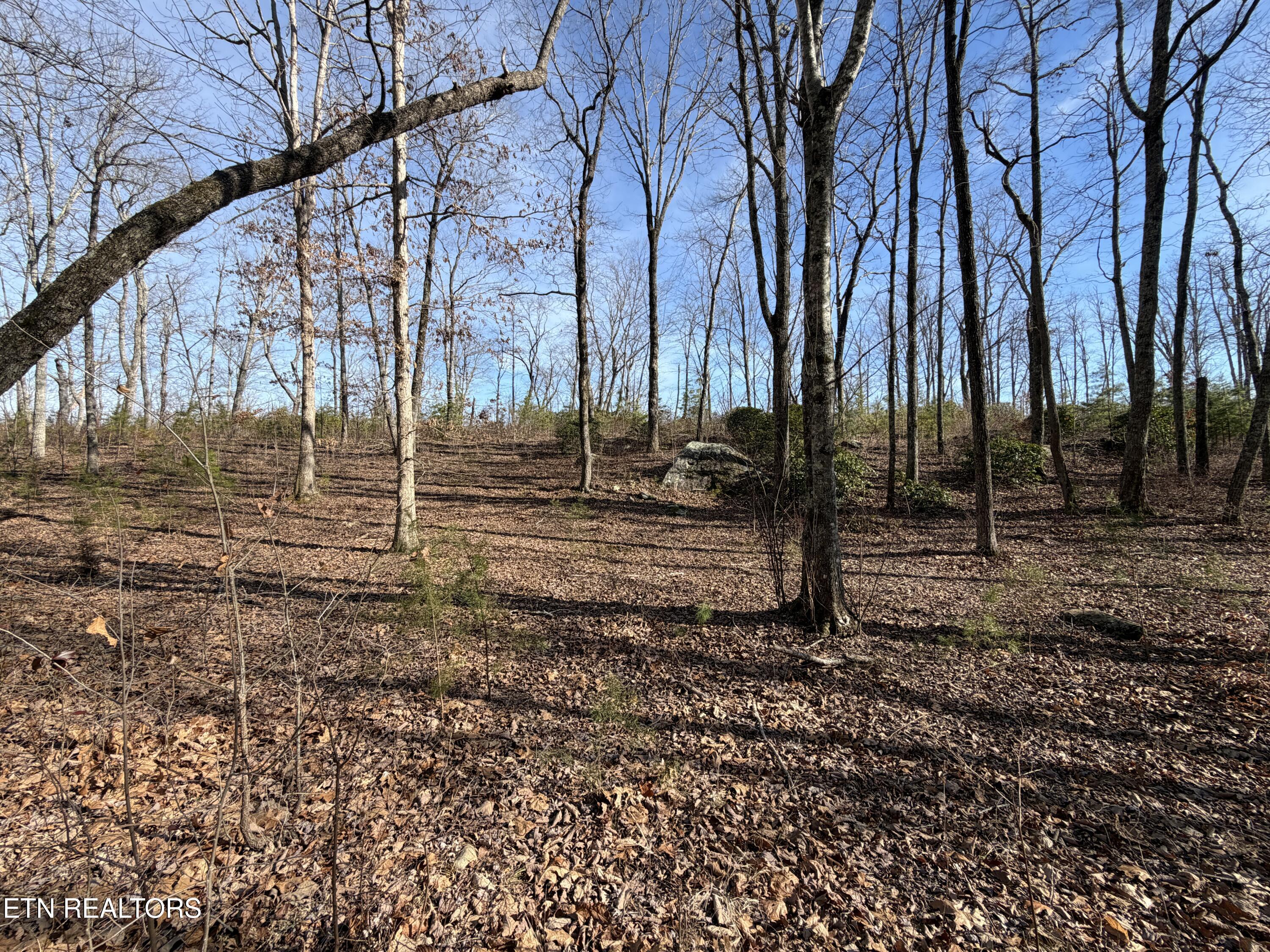 Escape Drive Evensville TN 37332