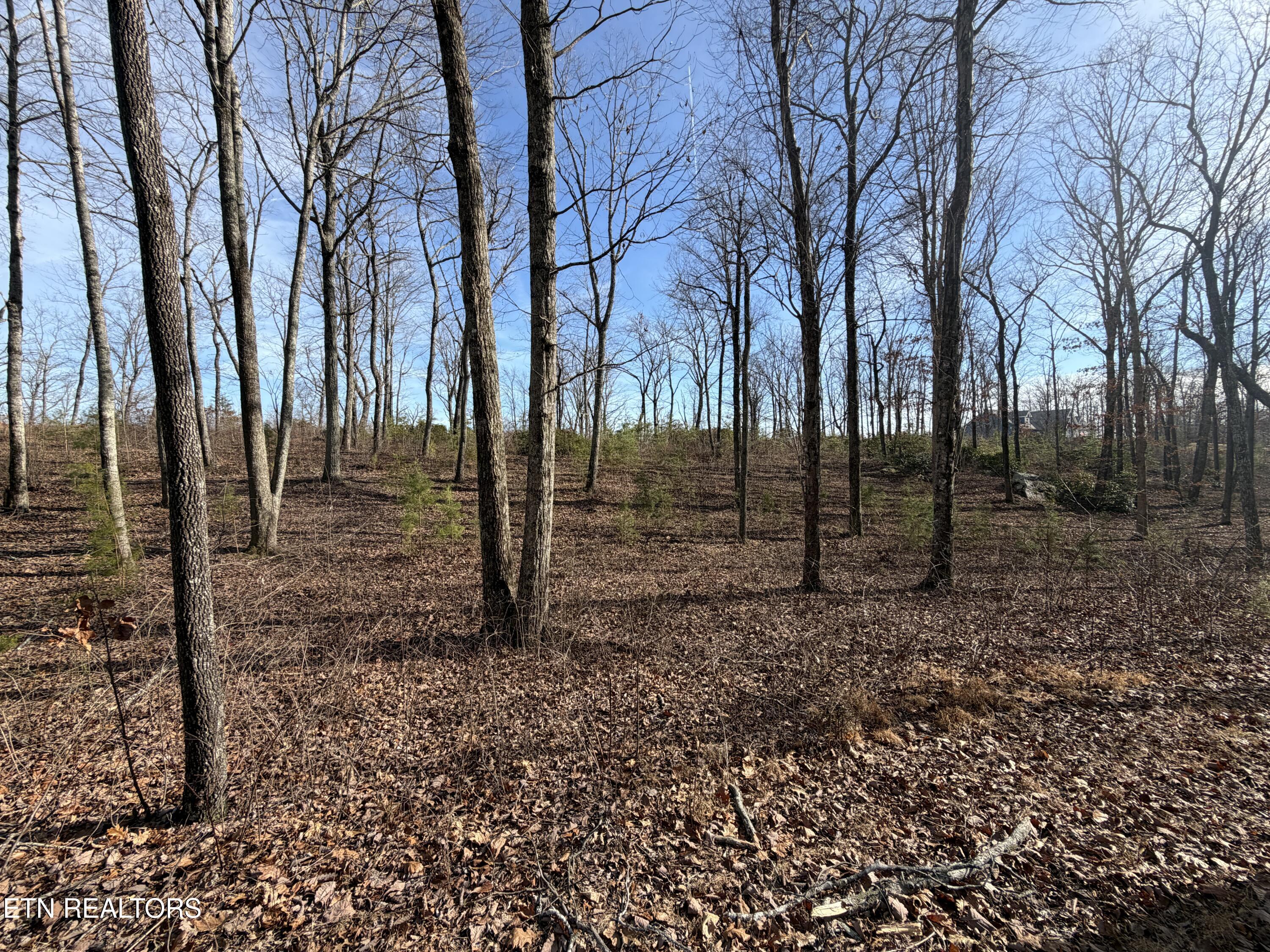 Escape Drive Evensville TN 37332