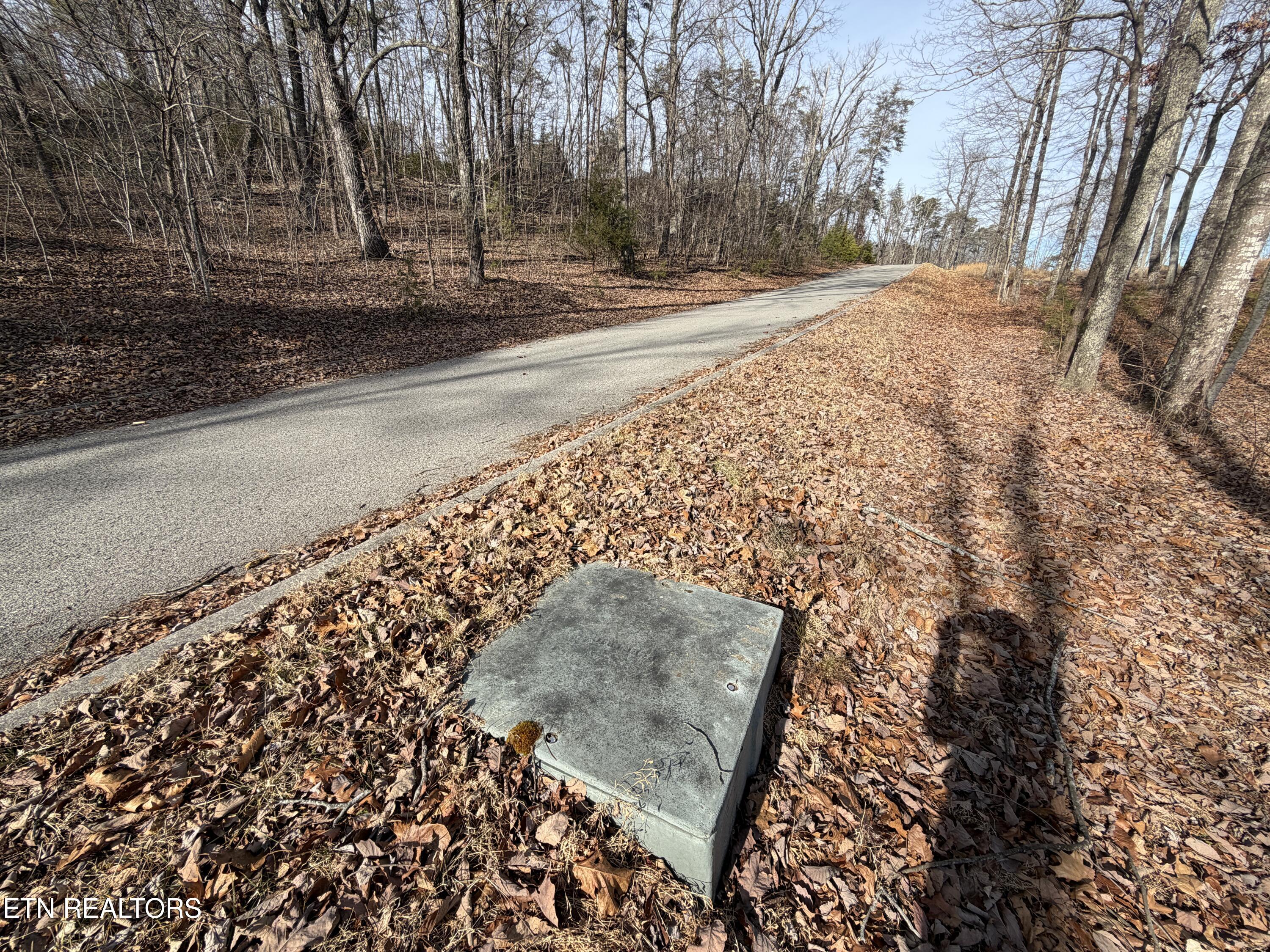 Escape Drive Evensville TN 37332