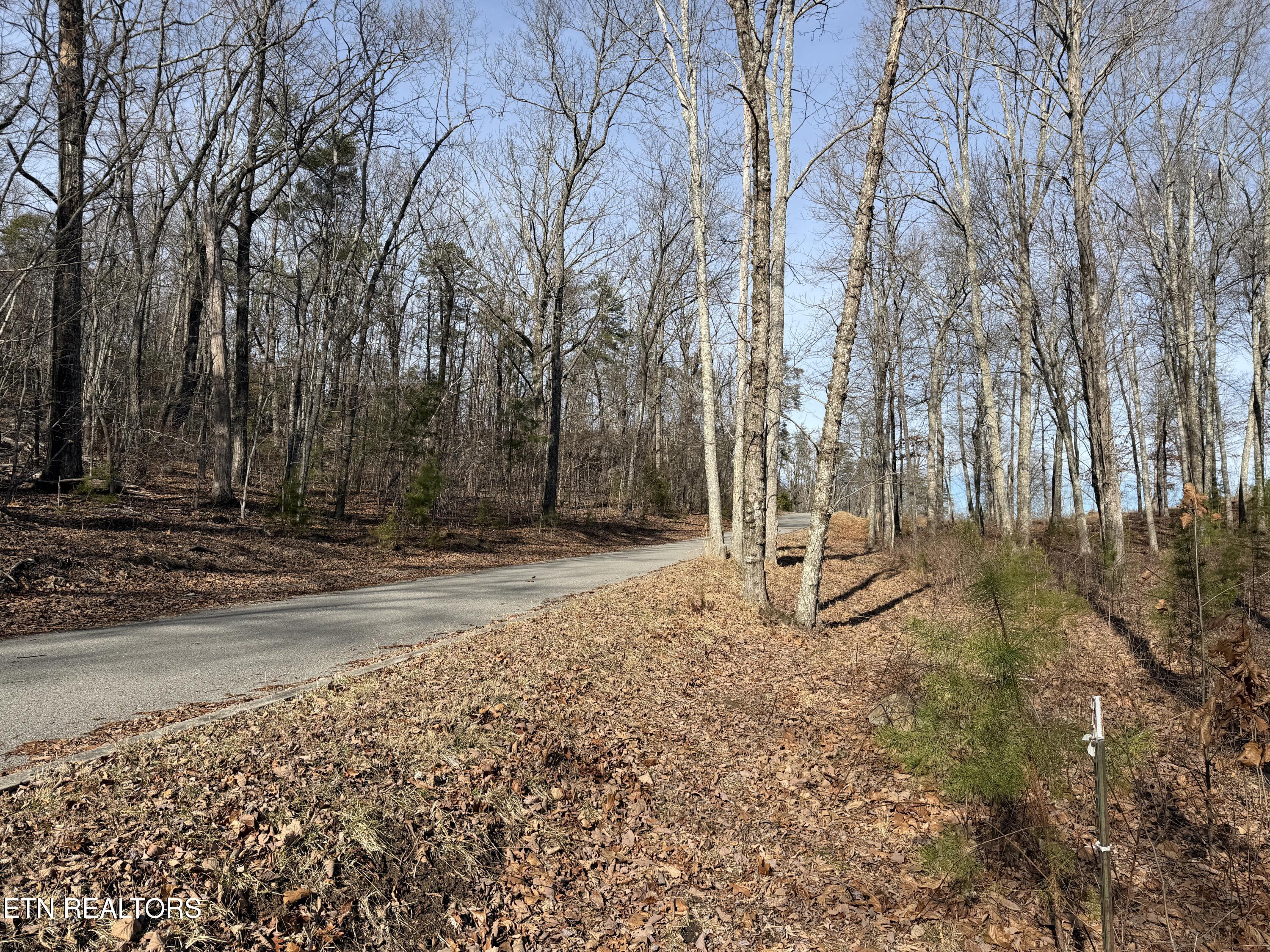Escape Drive Evensville TN 37332