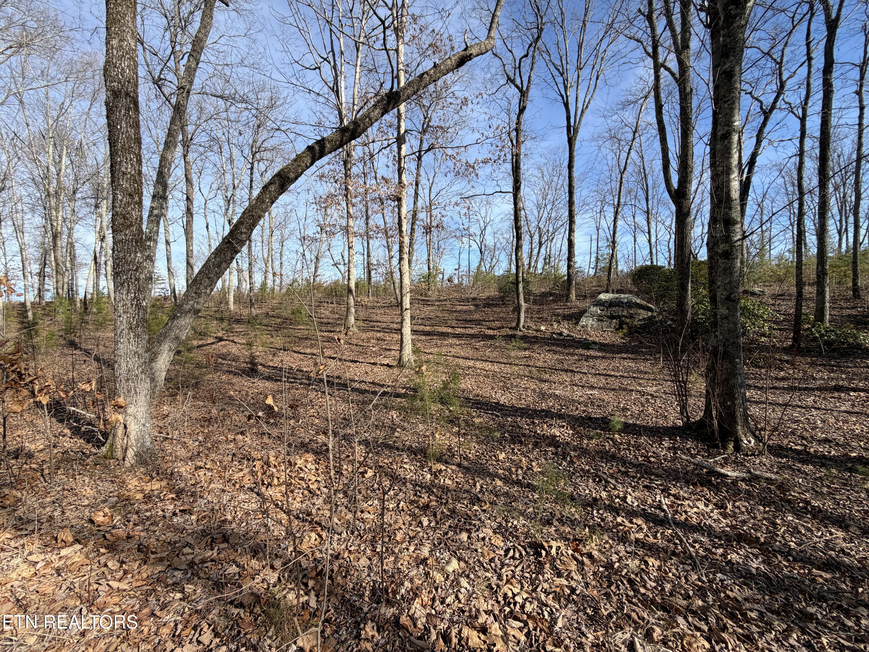 Escape Drive Evensville TN 37332