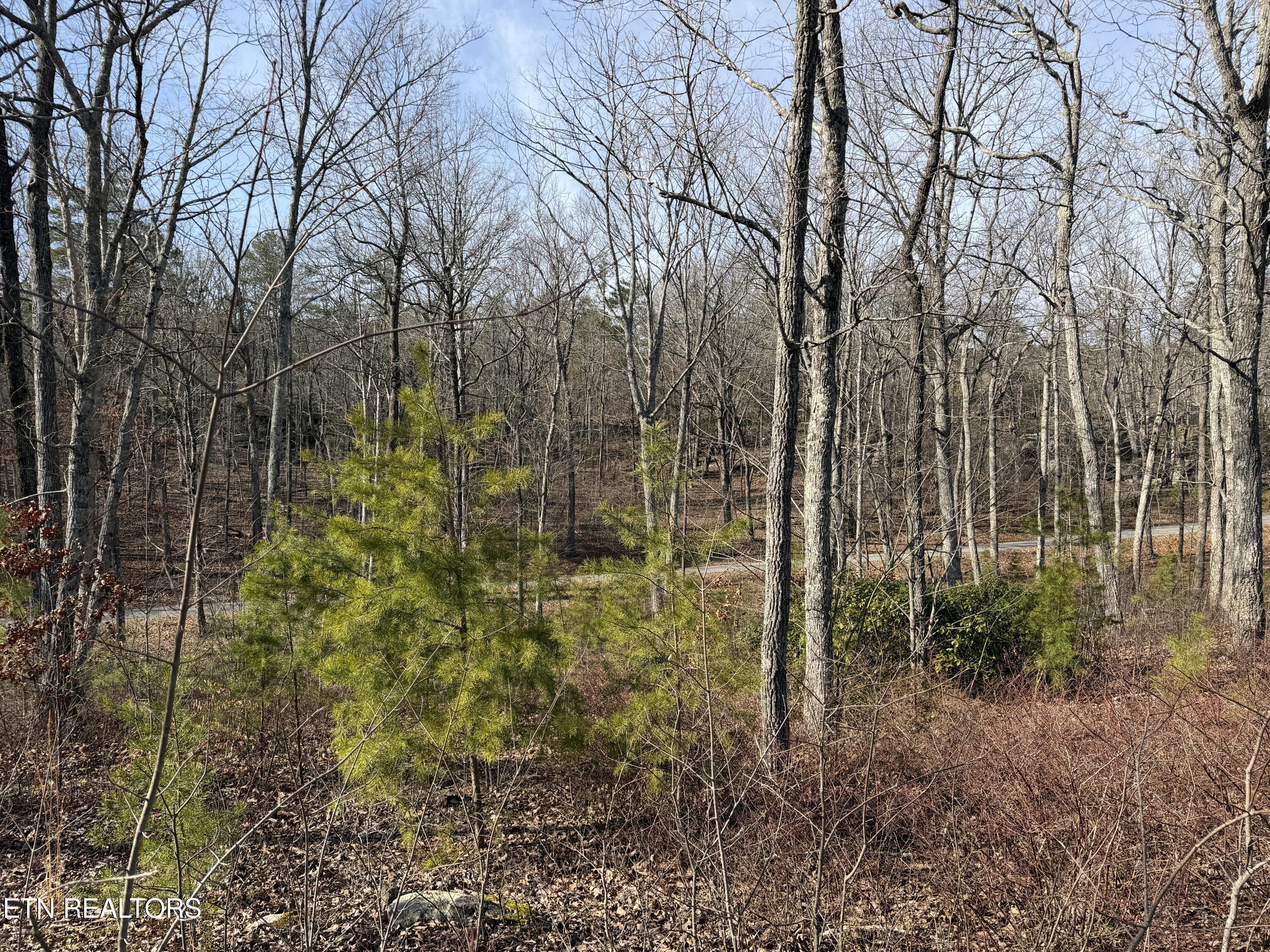 Escape Drive Evensville TN 37332