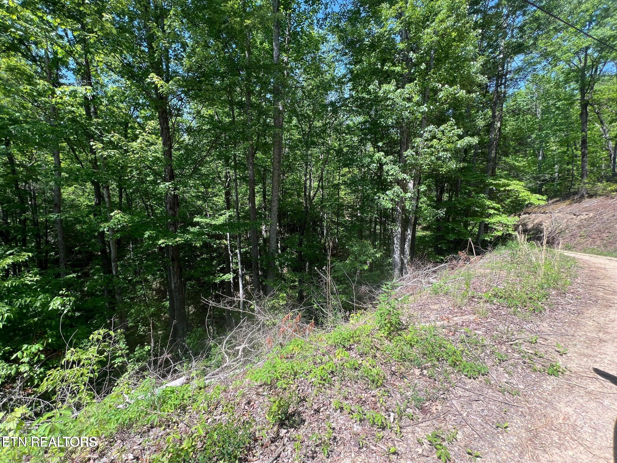 Lot 55 Butternut Lane Sevierville TN 37876