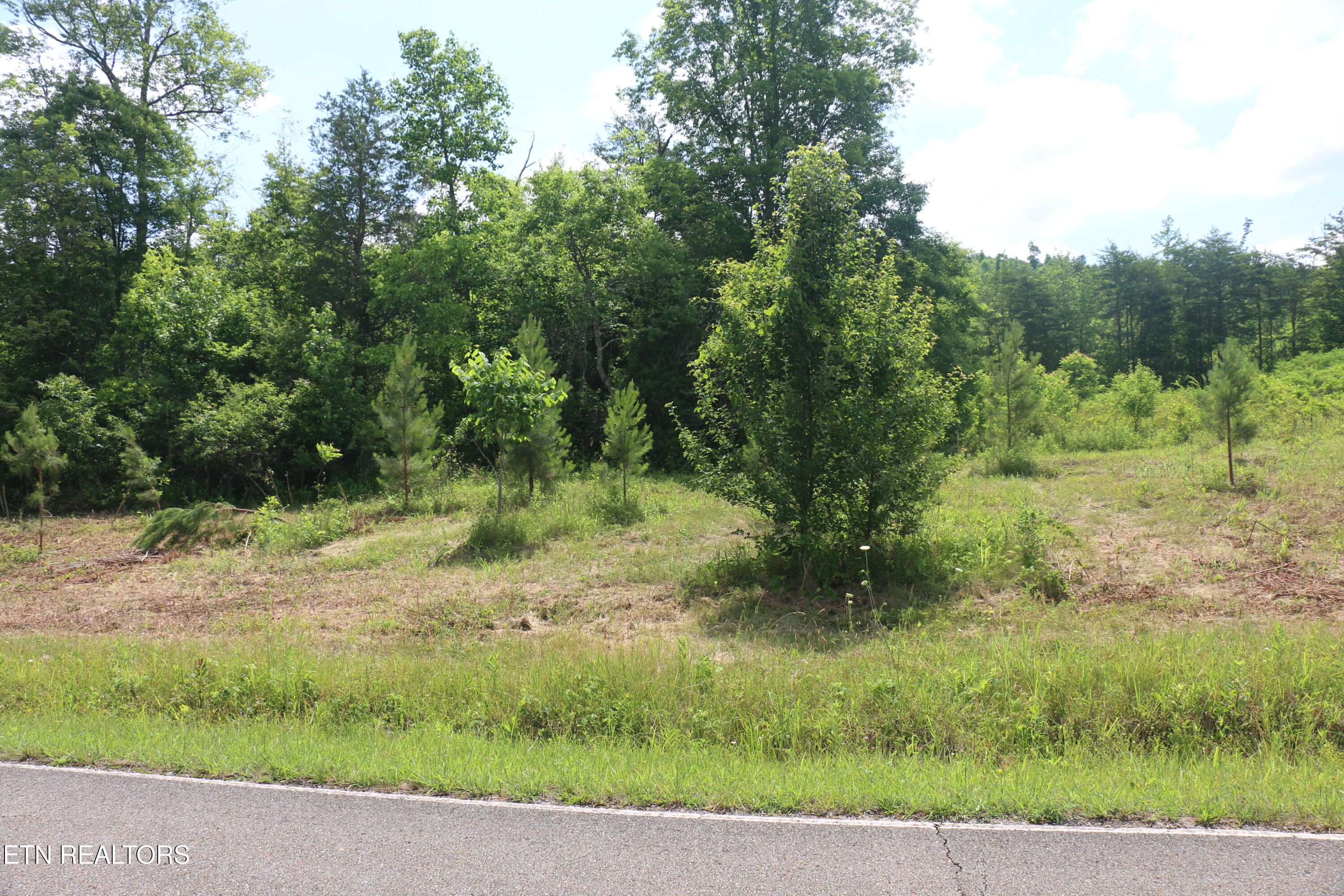Tract 2 N Nopone Valley Road Decatur TN 37322