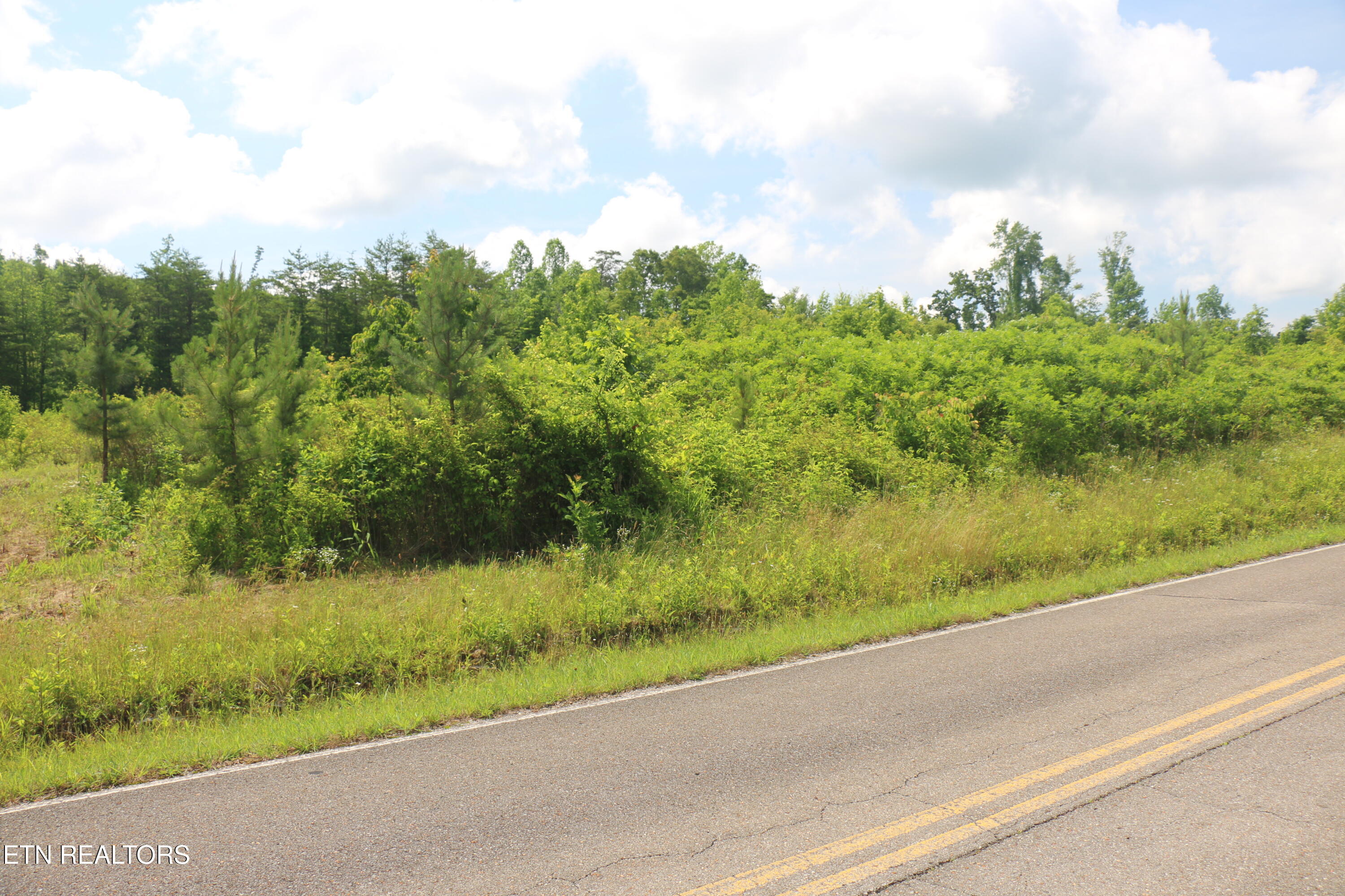Tract 2 N Nopone Valley Road Decatur TN 37322