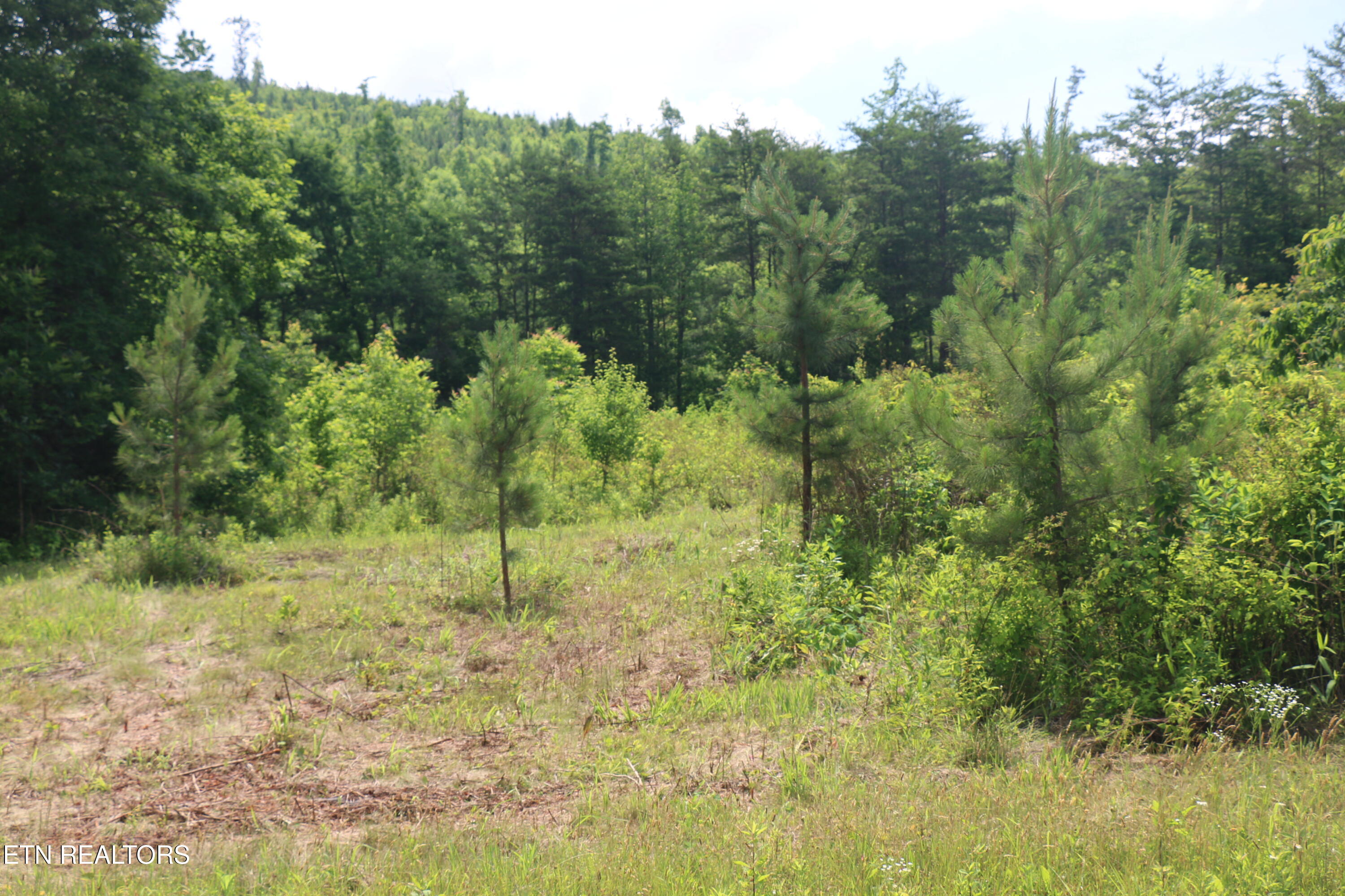 Tract 2 N Nopone Valley Road Decatur TN 37322