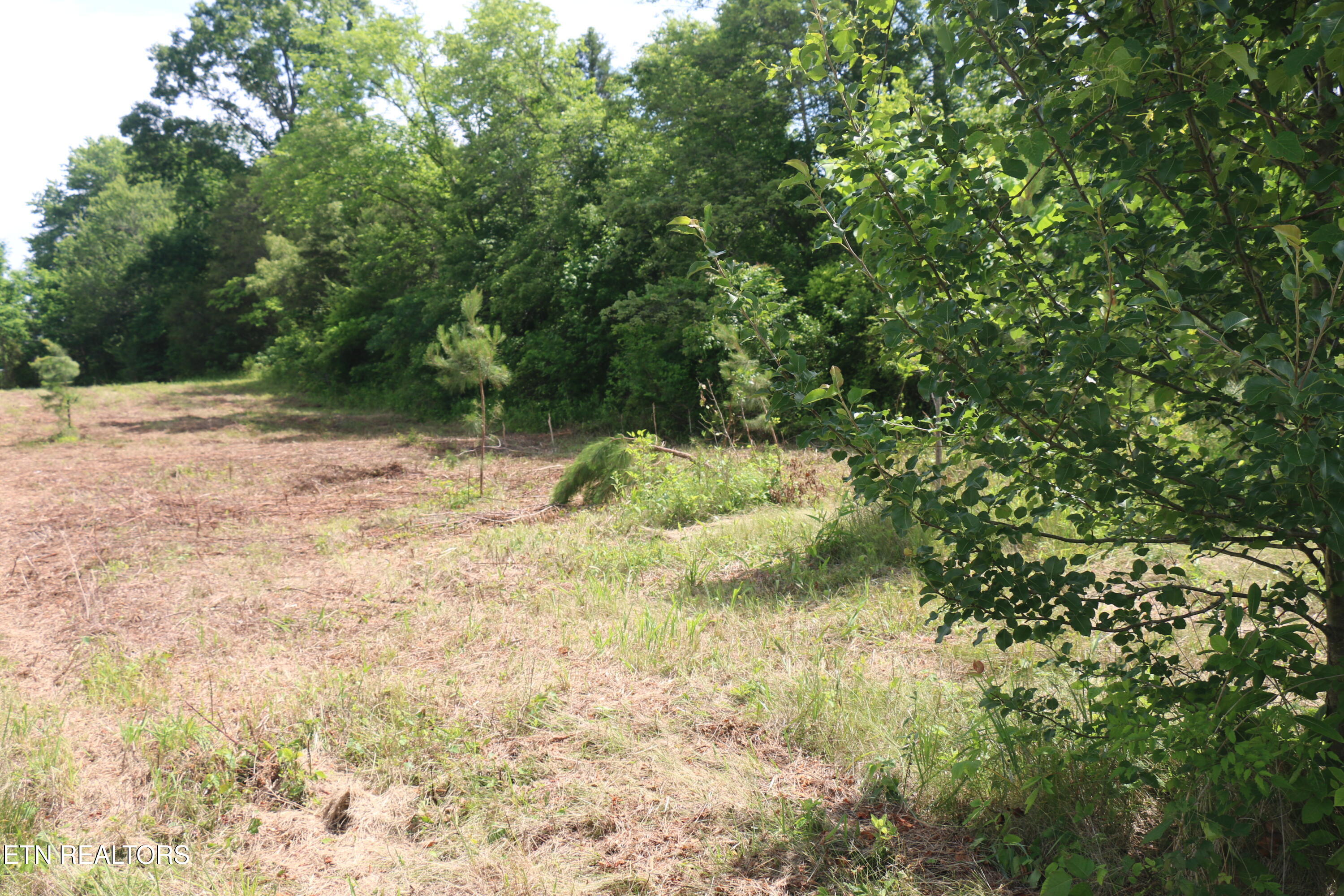 Tract 2 N Nopone Valley Road Decatur TN 37322