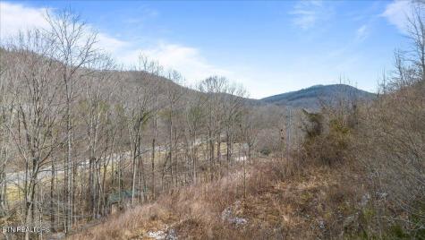 Straight Fork Road Pioneer TN 37847