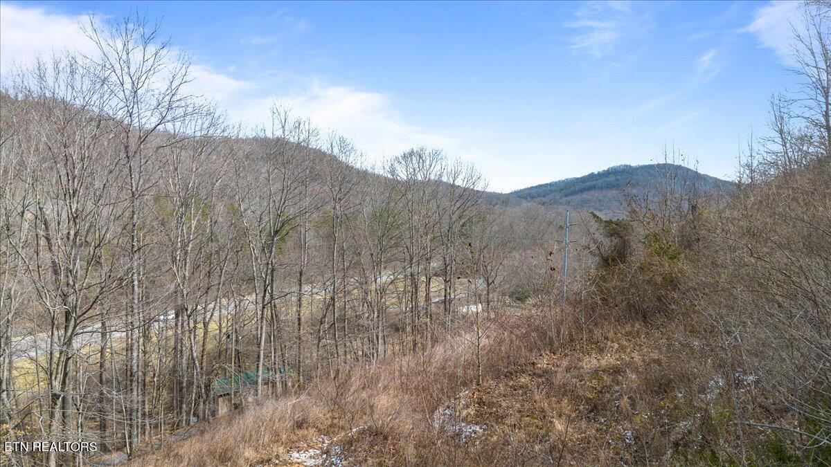 Straight Fork Road Pioneer TN 37847
