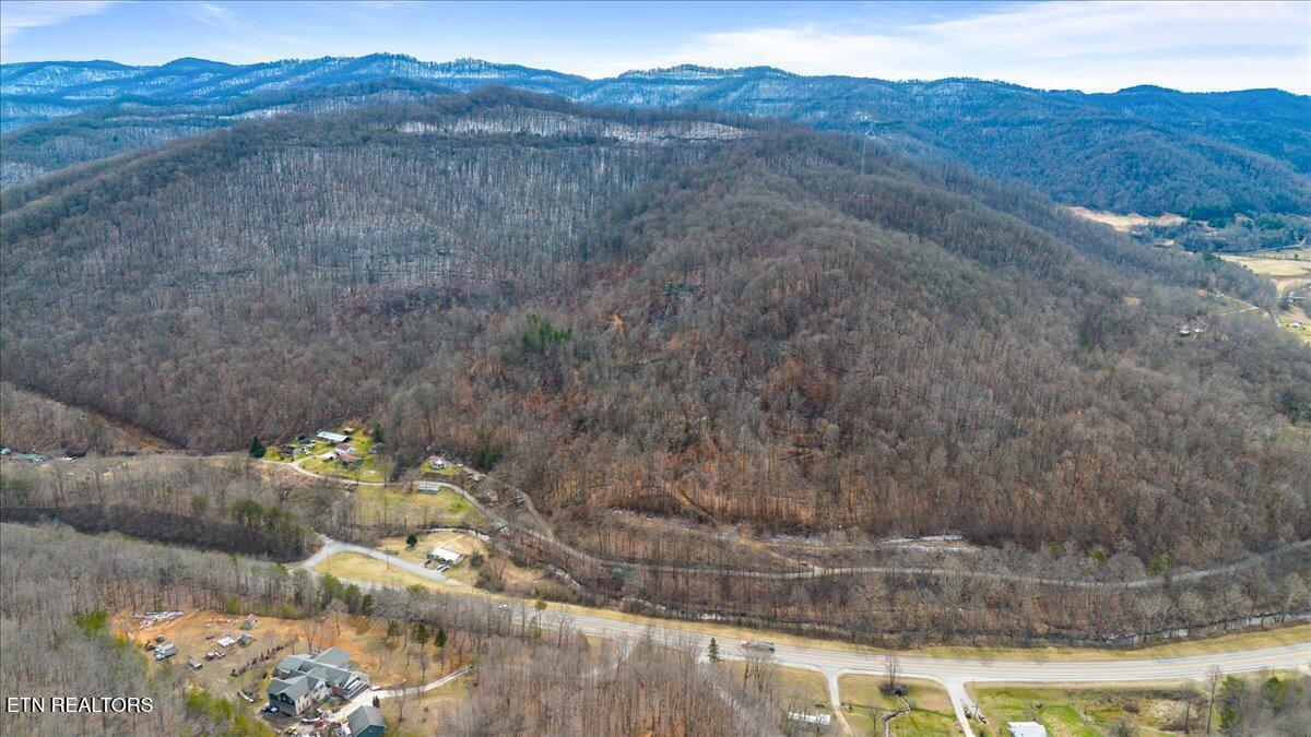 Straight Fork Road Pioneer TN 37847