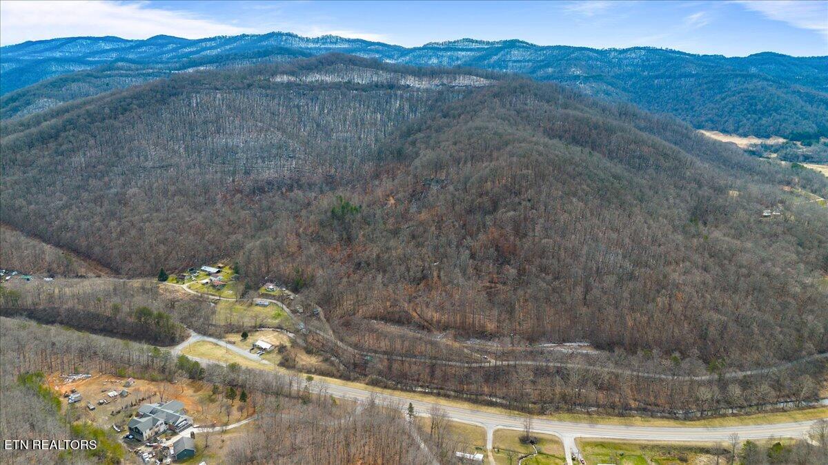 Straight Fork Road Pioneer TN 37847