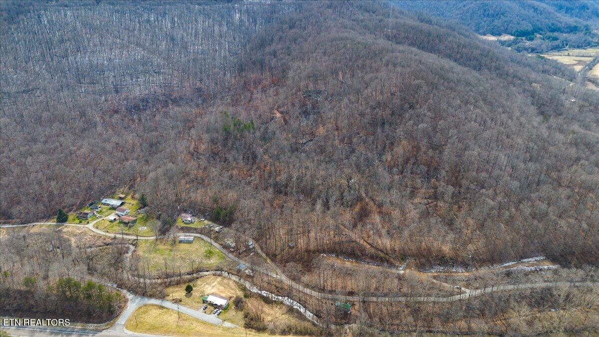 Straight Fork Road Pioneer TN 37847
