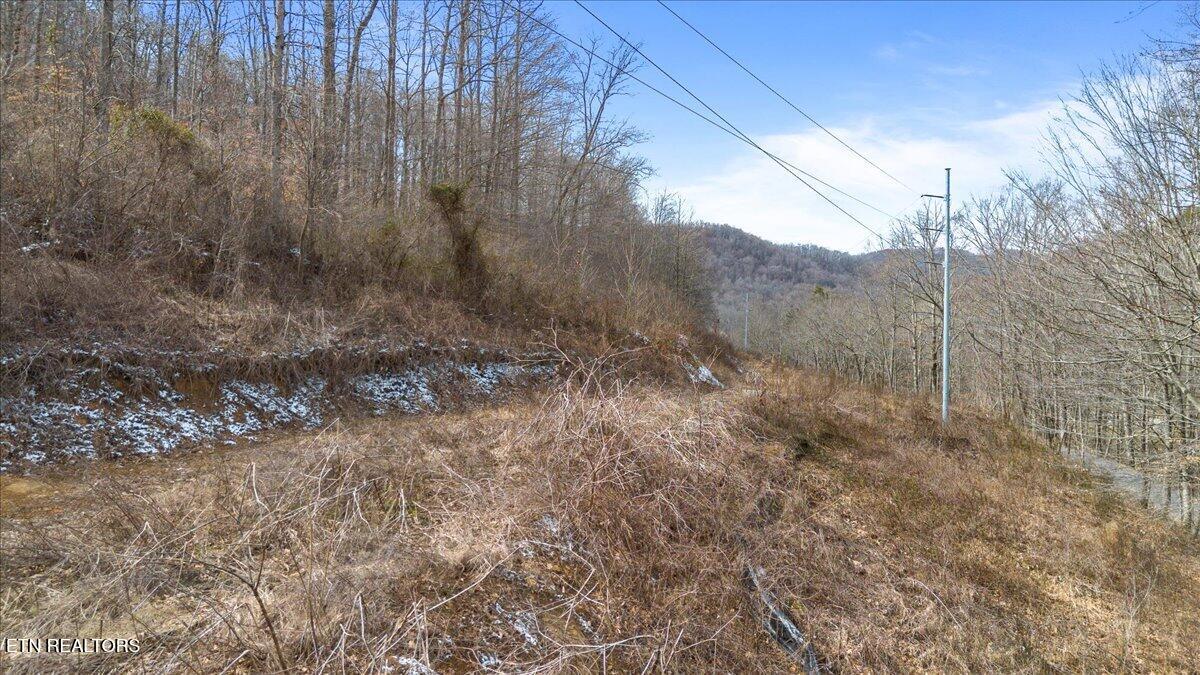 Straight Fork Road Pioneer TN 37847