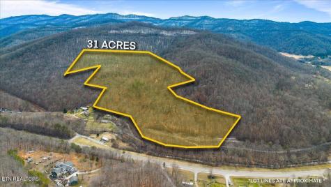 Straight Fork Road Pioneer TN 37847