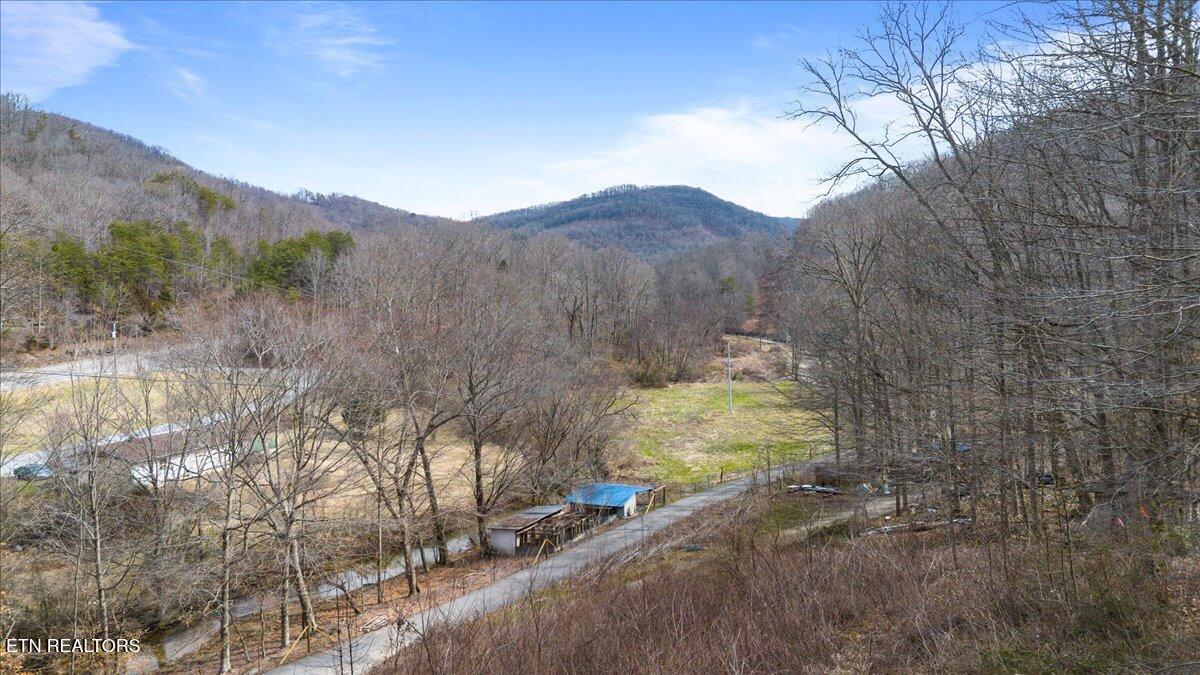 Straight Fork Road Pioneer TN 37847