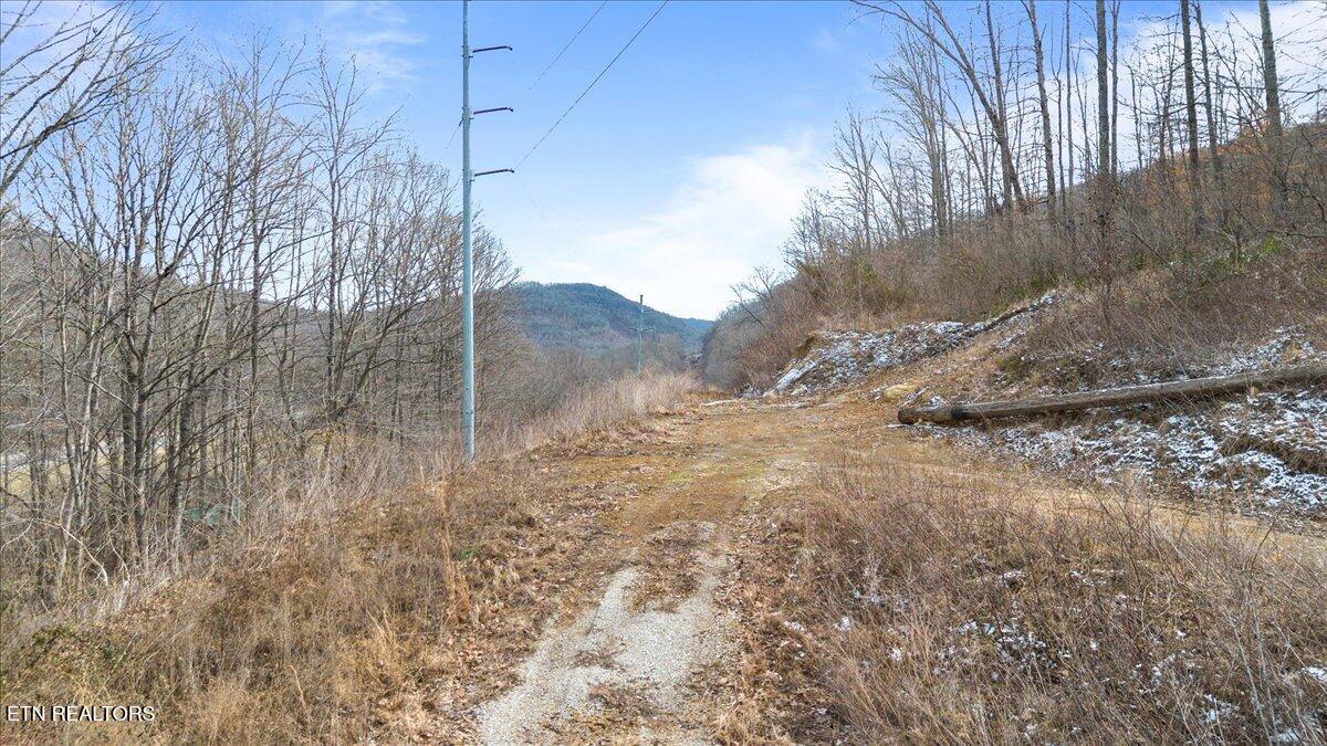 Straight Fork Road Pioneer TN 37847