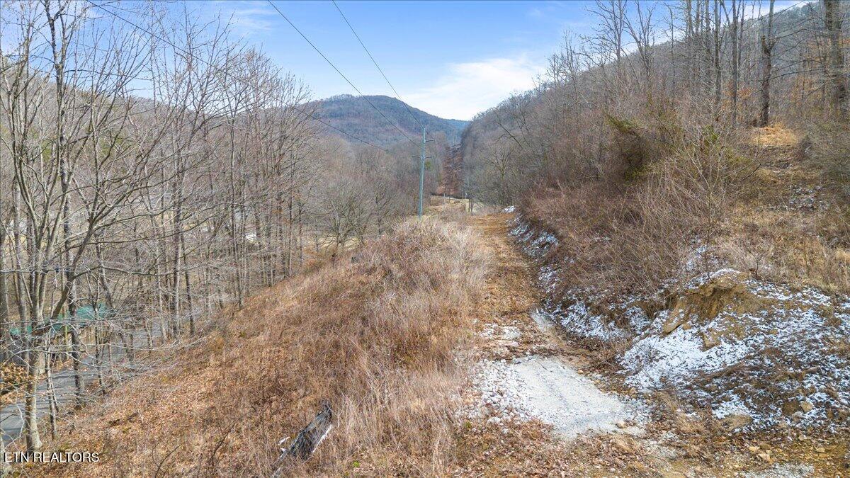 Straight Fork Road Pioneer TN 37847