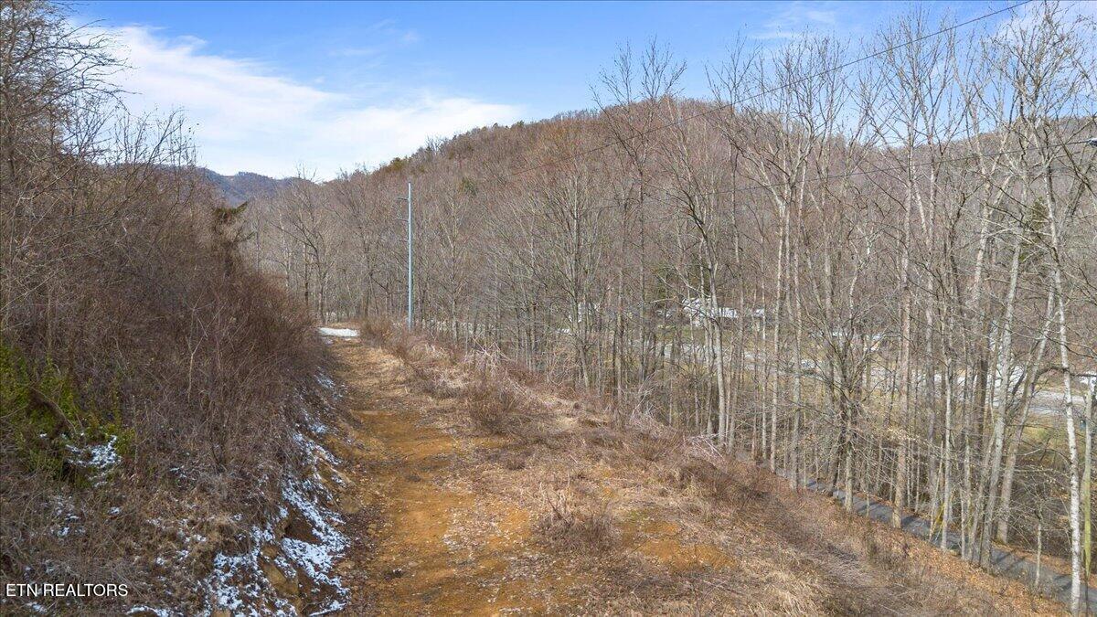 Straight Fork Road Pioneer TN 37847