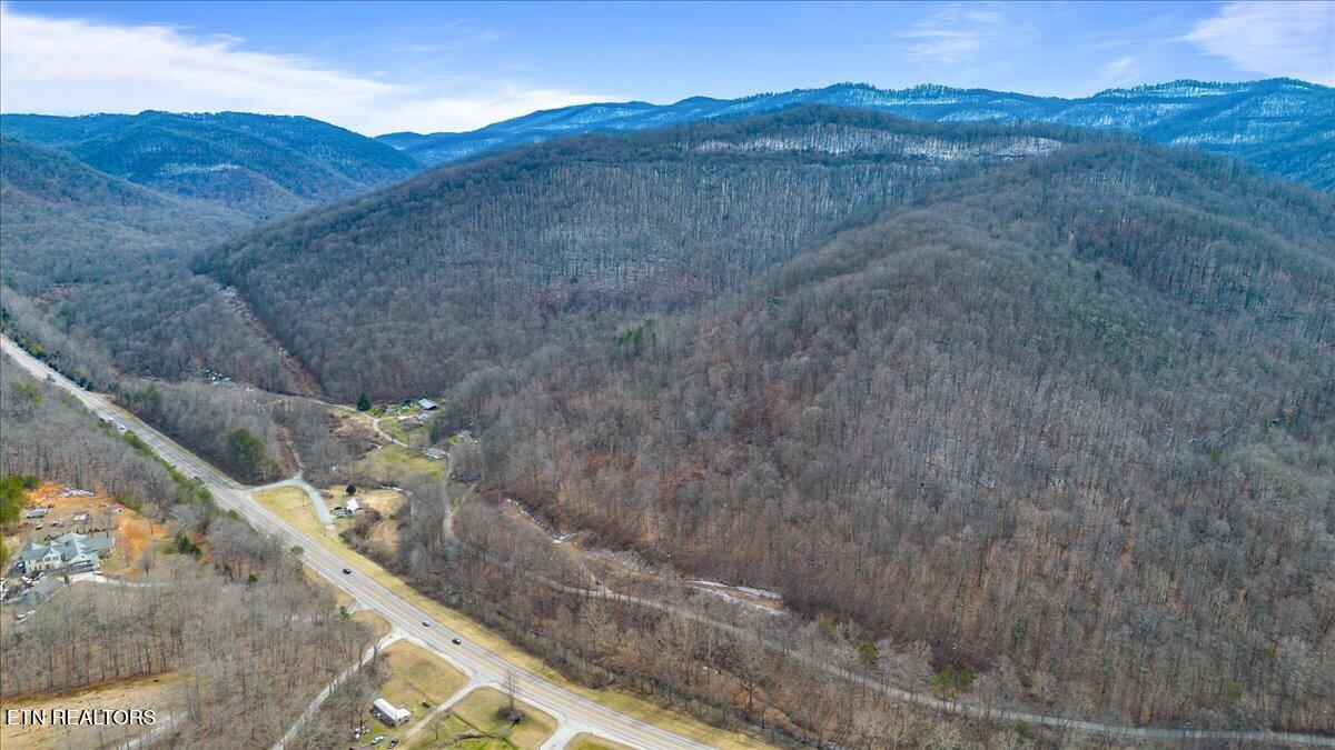 Straight Fork Road Pioneer TN 37847