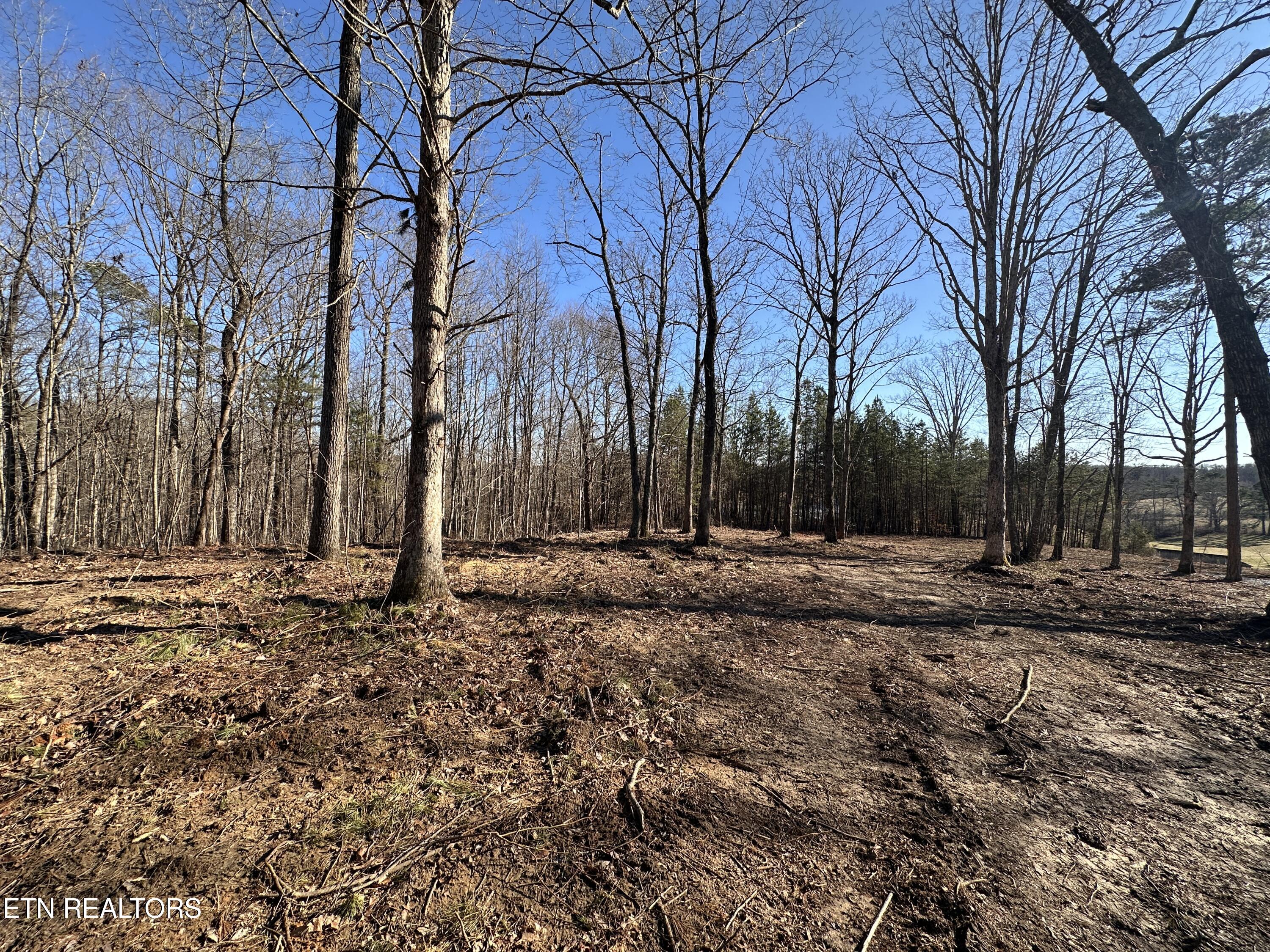 14.53 Ac Pickett Park Highway Jamestown TN 38556