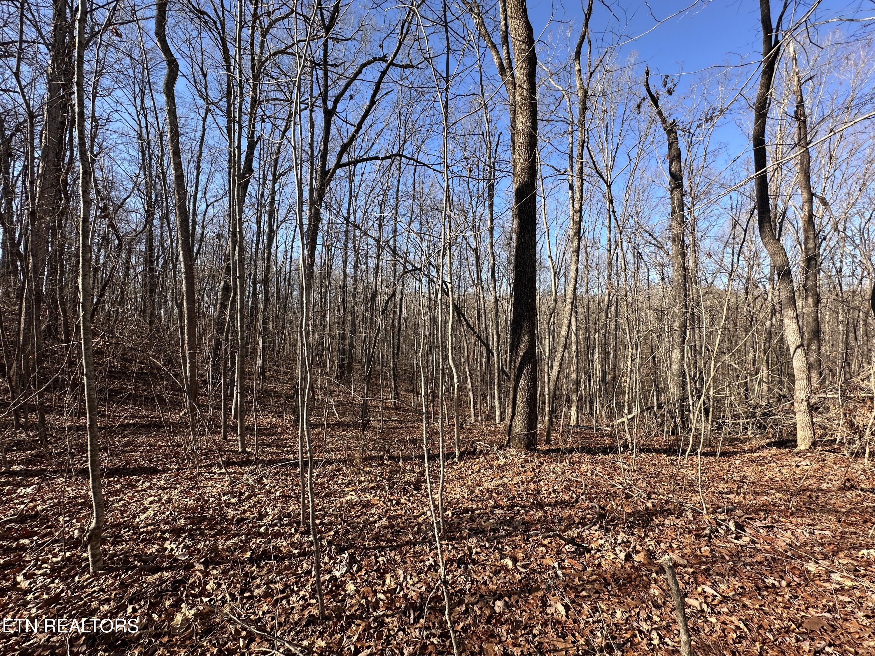 14.53 Ac Pickett Park Highway Jamestown TN 38556