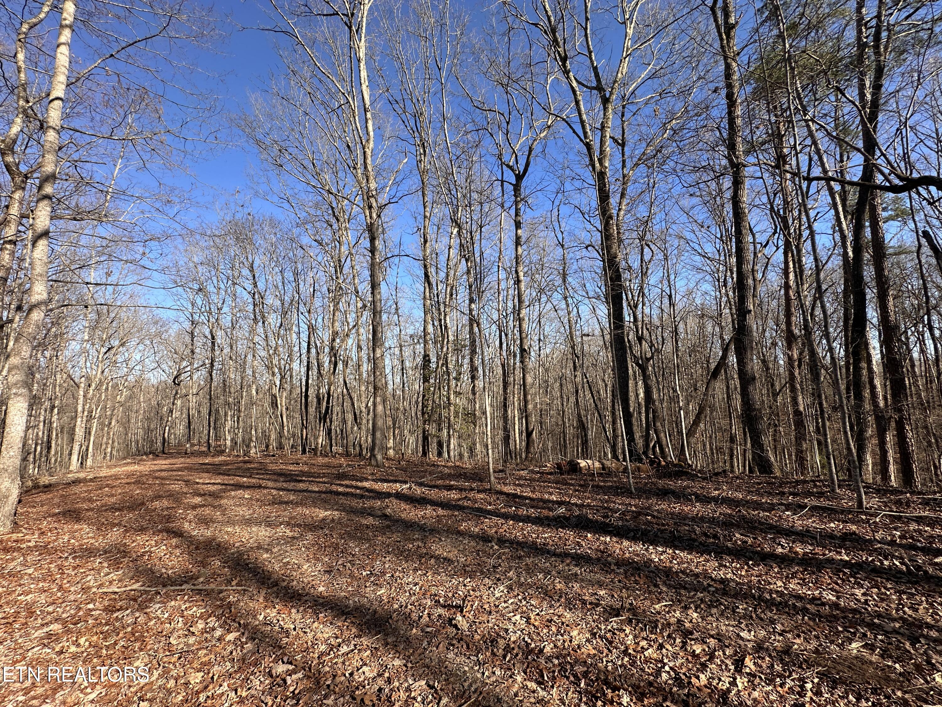 14.53 Ac Pickett Park Highway Jamestown TN 38556
