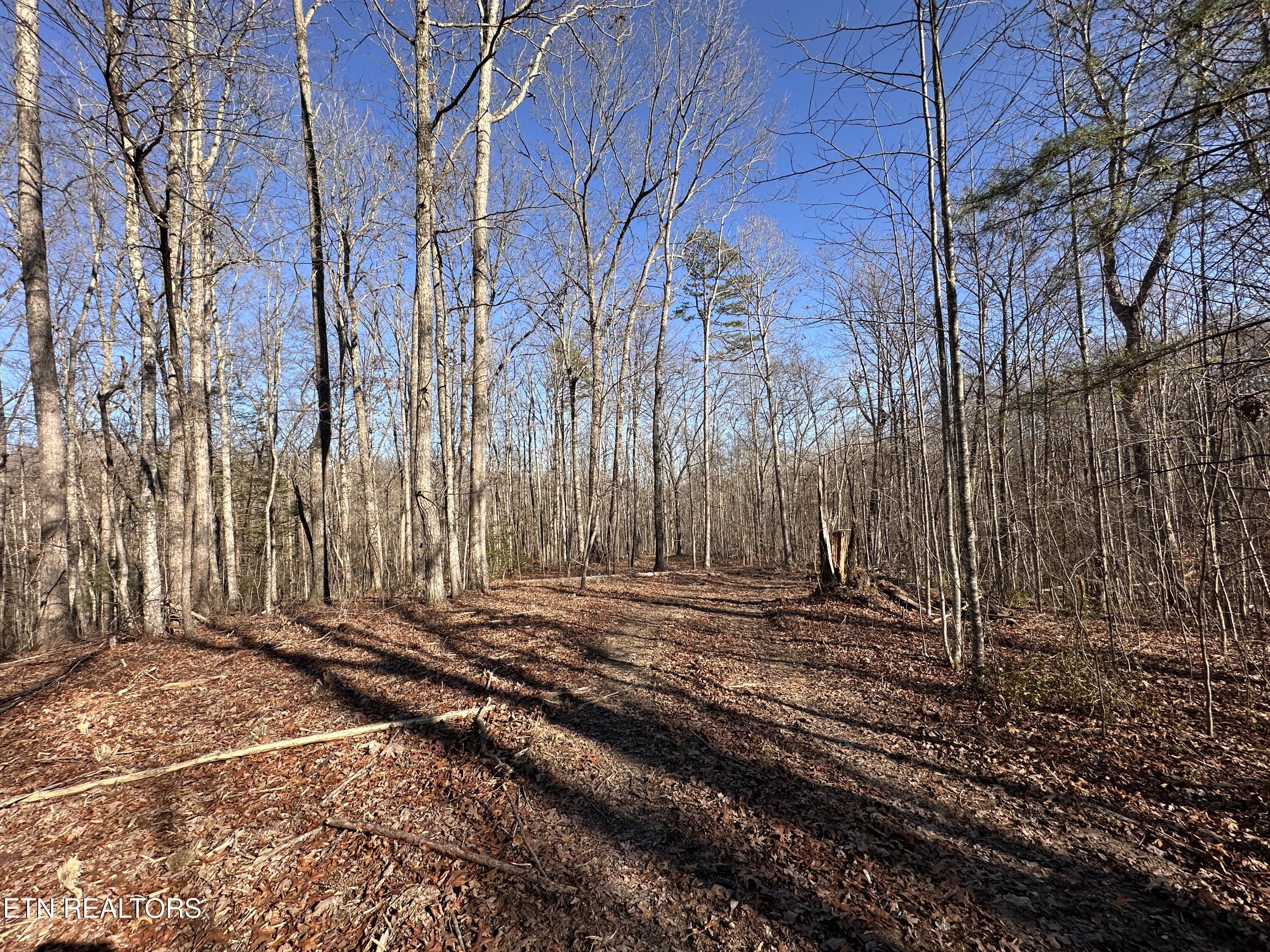 14.53 Ac Pickett Park Highway Jamestown TN 38556
