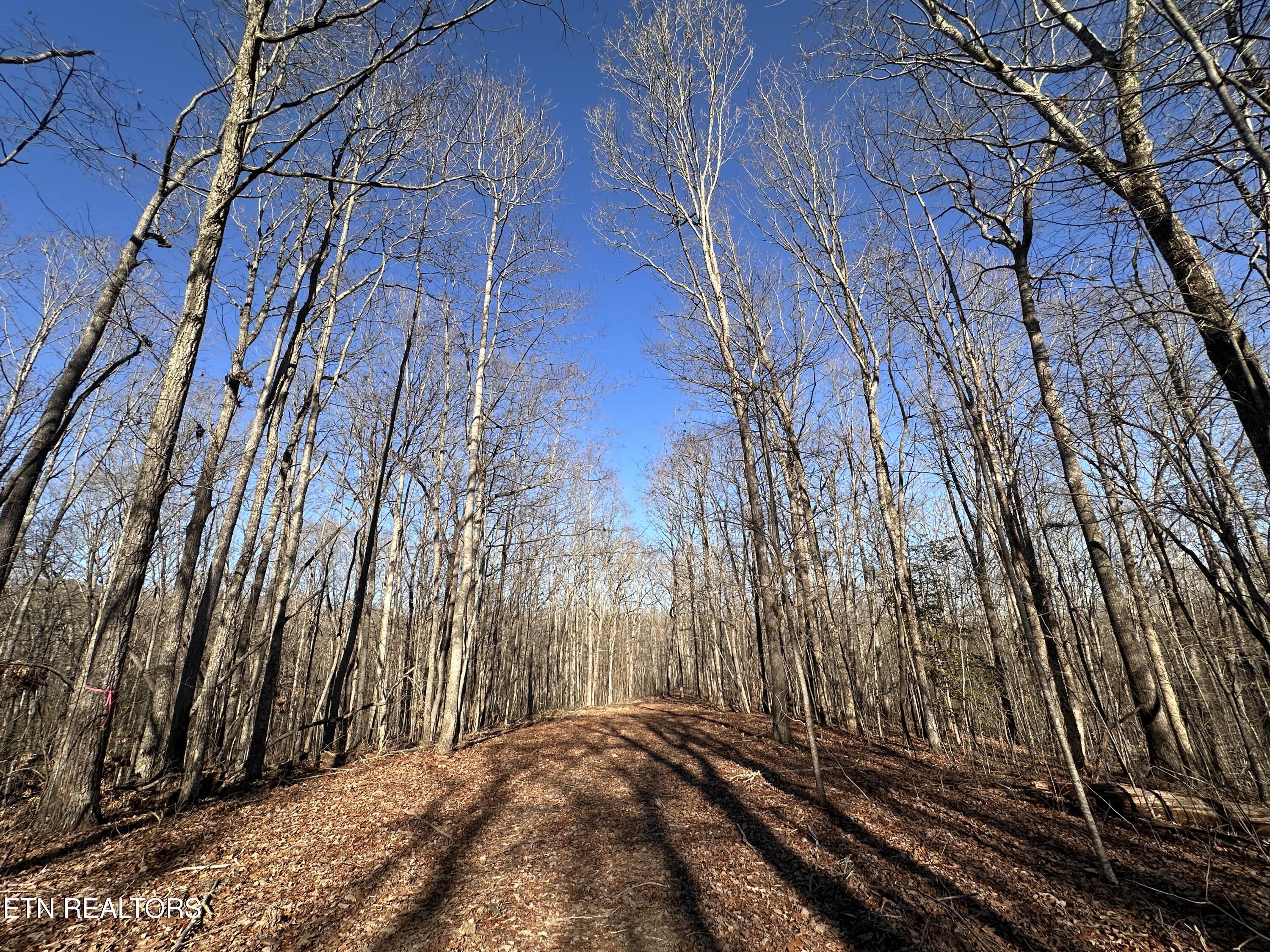 14.53 Ac Pickett Park Highway Jamestown TN 38556