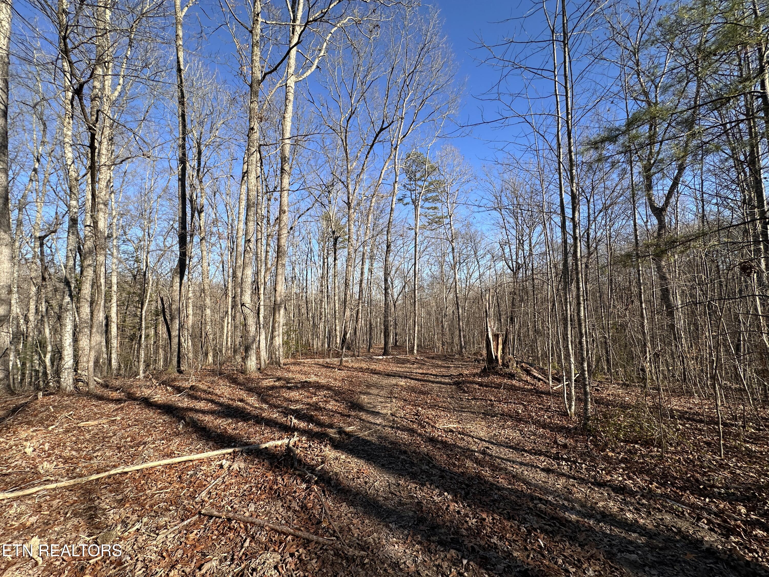 14.53 Ac Pickett Park Highway Jamestown TN 38556